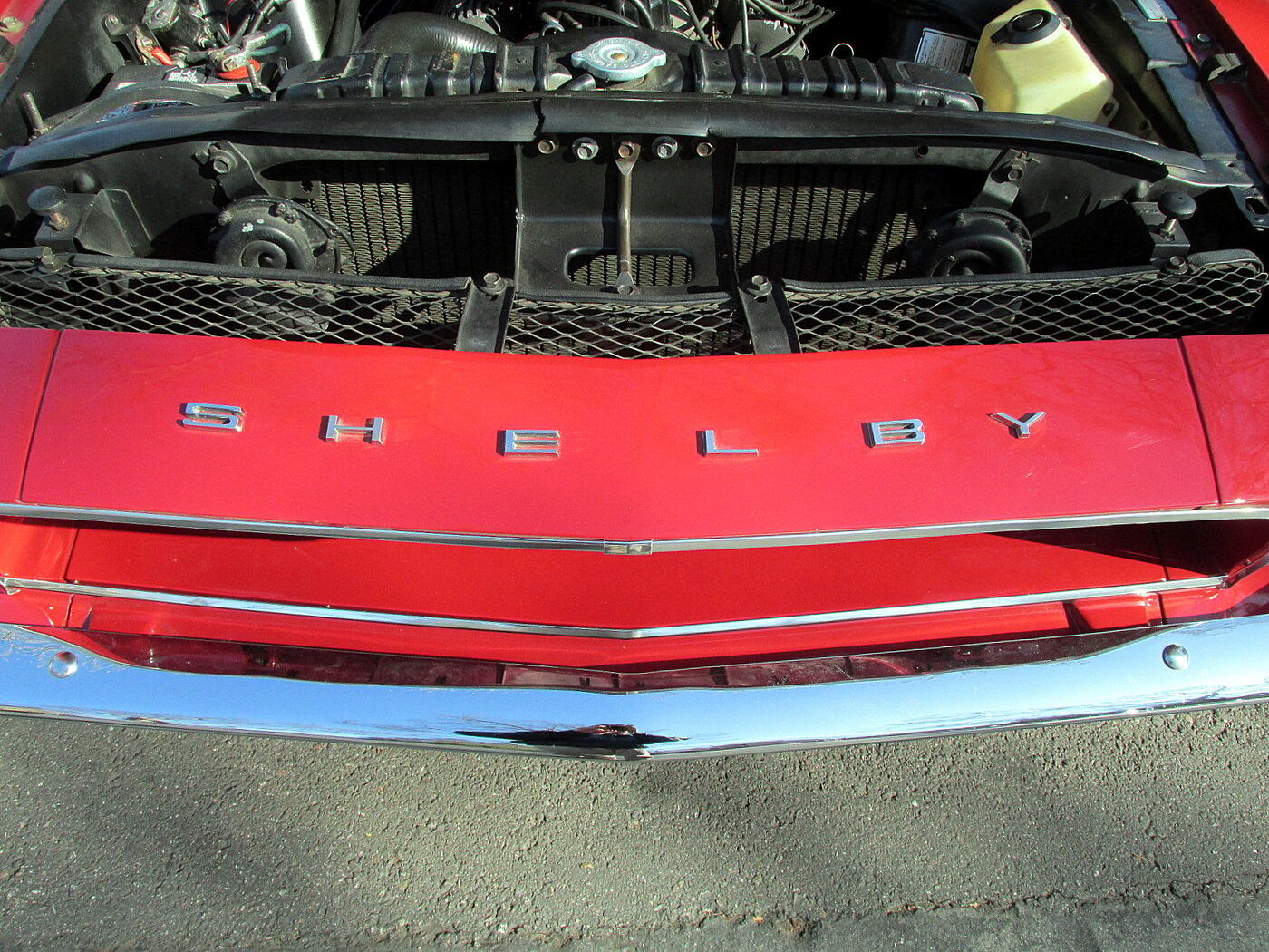 rsz shelby gt350 68 007