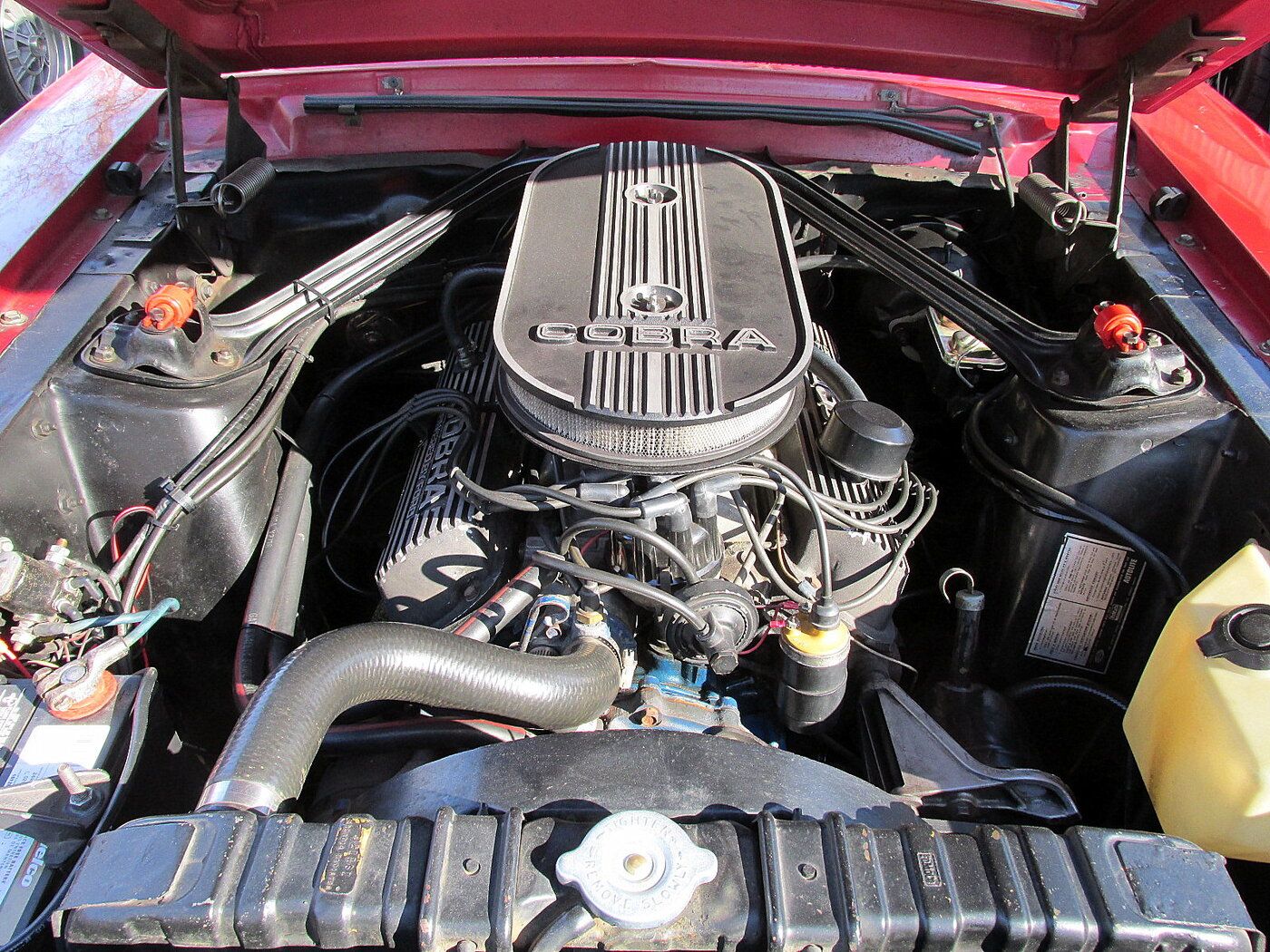 rsz shelby gt350 68 014