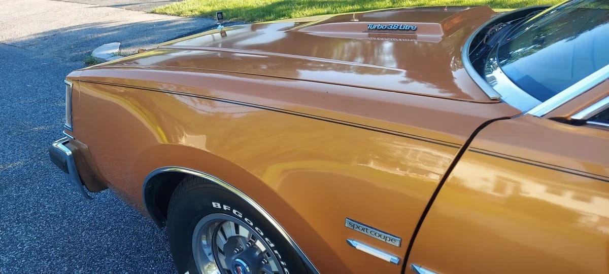 Front end of a 1978 Buick Regal, showing the bulge on the hood