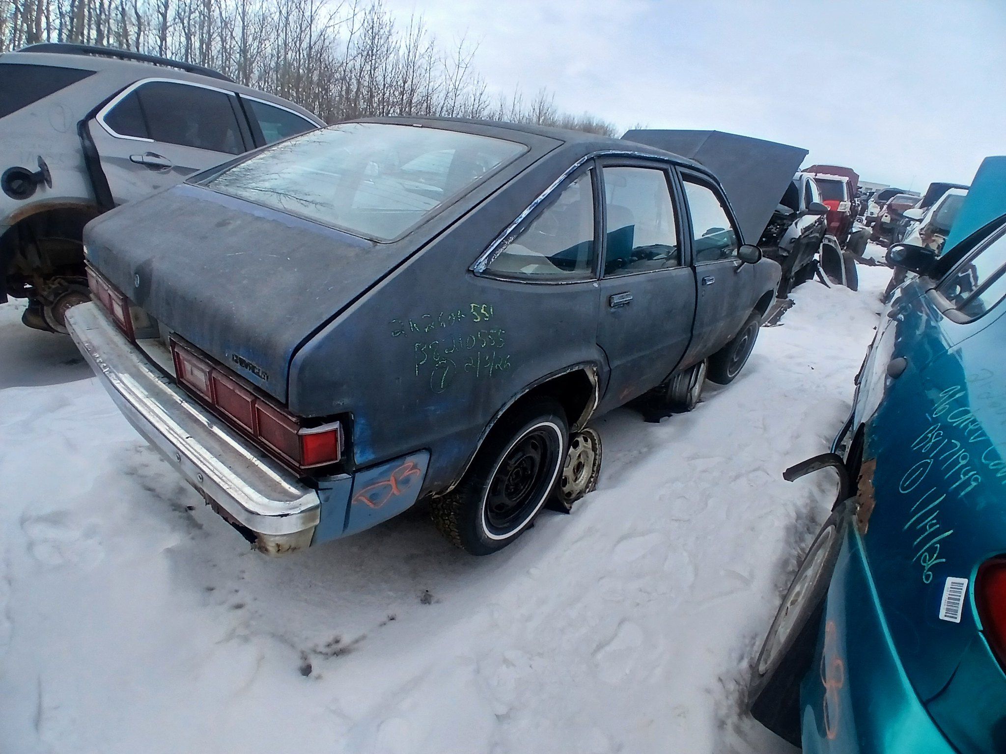 Passenger rear three-quarter view of 1980 Chevy Citation in salvage yard