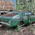 There is a 35 acre slice of automotive nirvana which contains 4,500 cars awaiting your discovery along its 7 miles of easily navigable walking trails.  Sound enticing?  Then slide over [&hellip;]