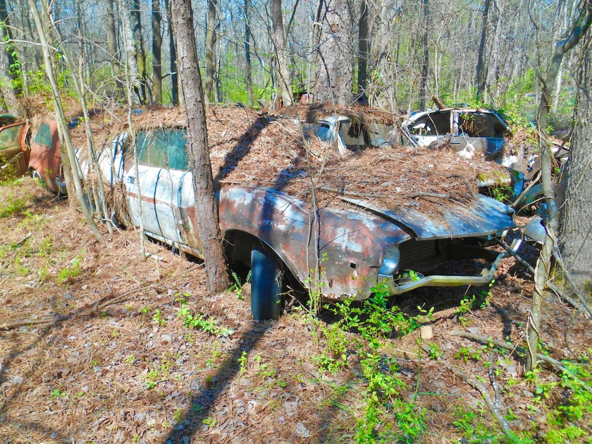 Exploring Old Car City USA: Part 4 - AMC, Independents, and Foreign Makes 42 DSCN0036