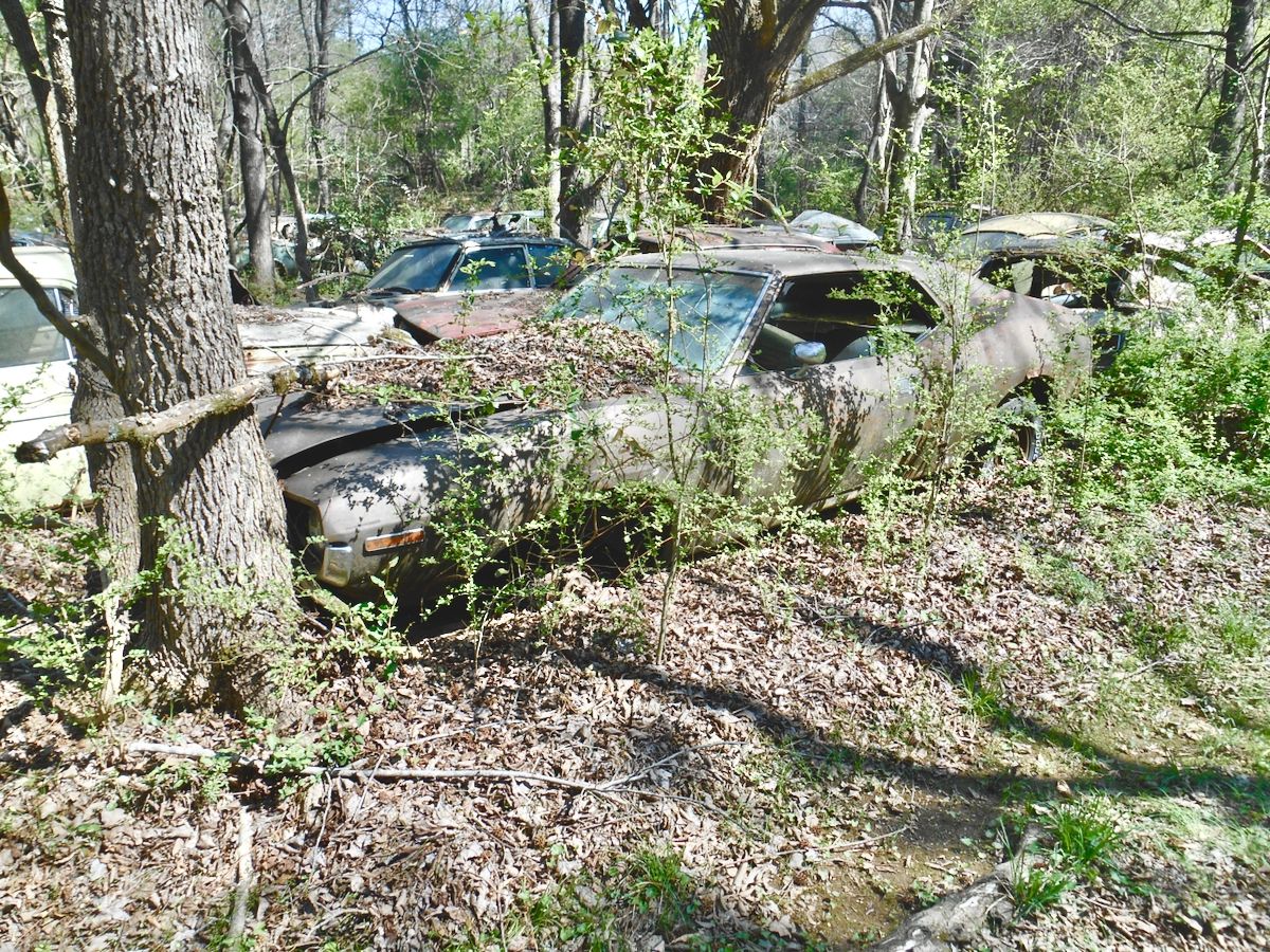 Exploring Old Car City USA: Part 4 - AMC, Independents, and Foreign Makes 45 DSCN0039
