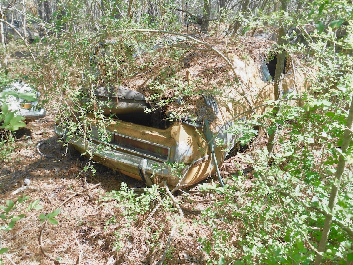 Exploring Old Car City USA: Part 4 - AMC, Independents, and Foreign Makes 47 DSCN0046