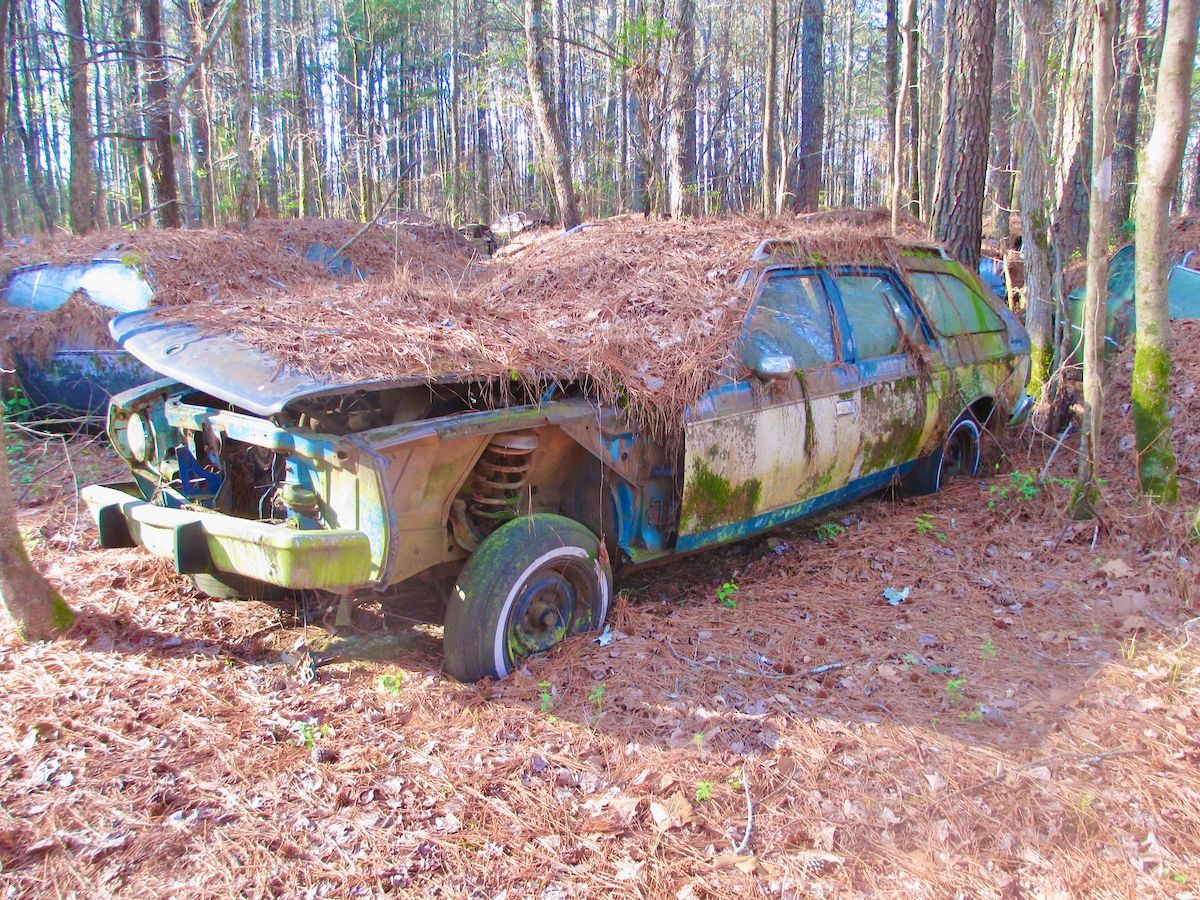 Exploring Old Car City USA: Part 4 - AMC, Independents, and Foreign Makes 10 IMG 2757