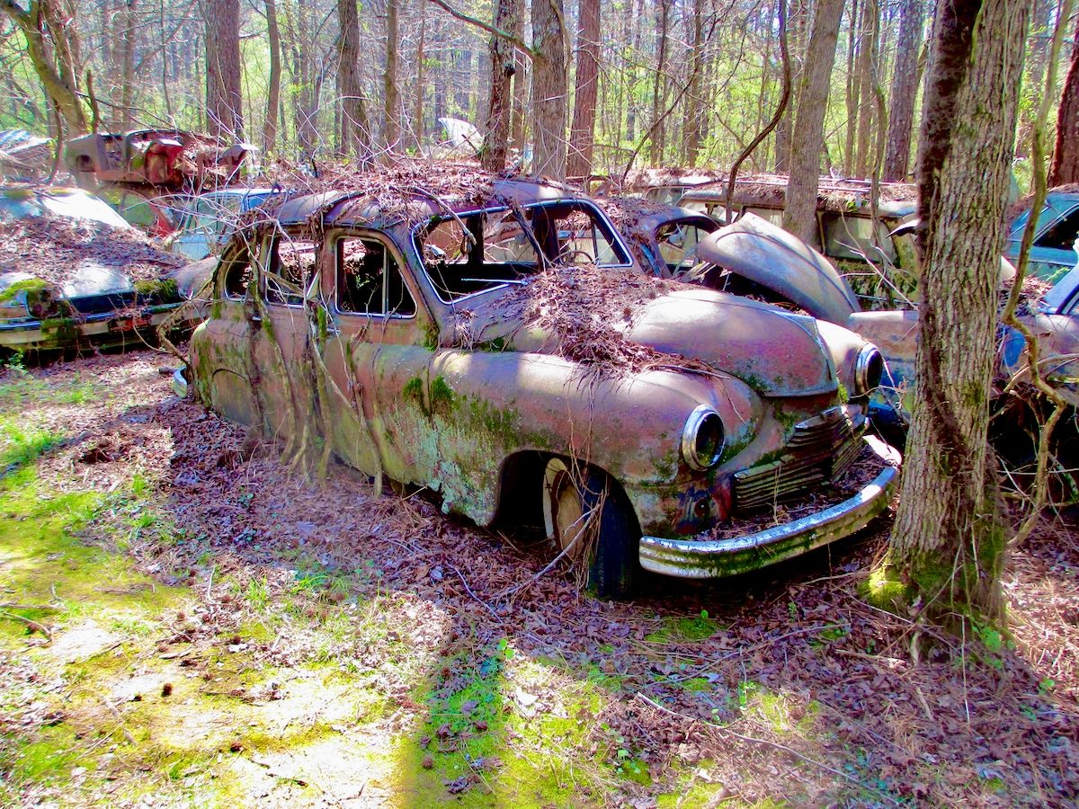 Exploring Old Car City USA: Part 4 - AMC, Independents, and Foreign Makes 31 IMG 2900