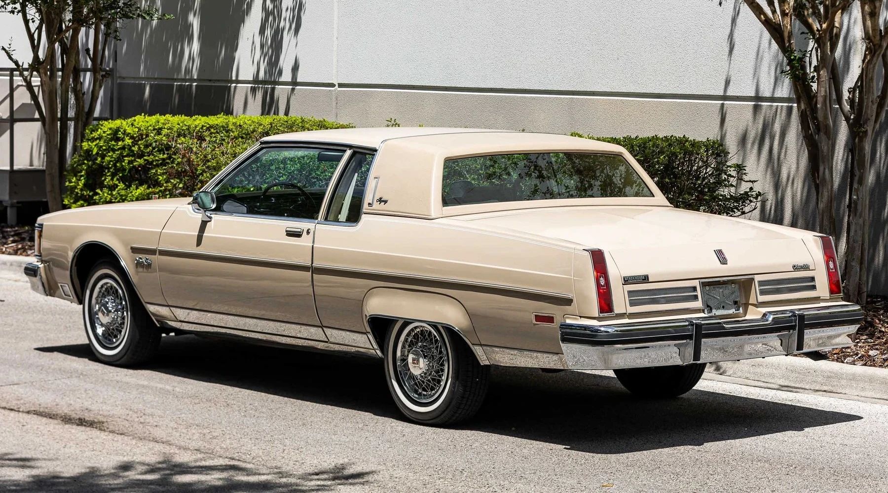 Left rear 3q view of a 1981 Oldsmobile two-door coupe