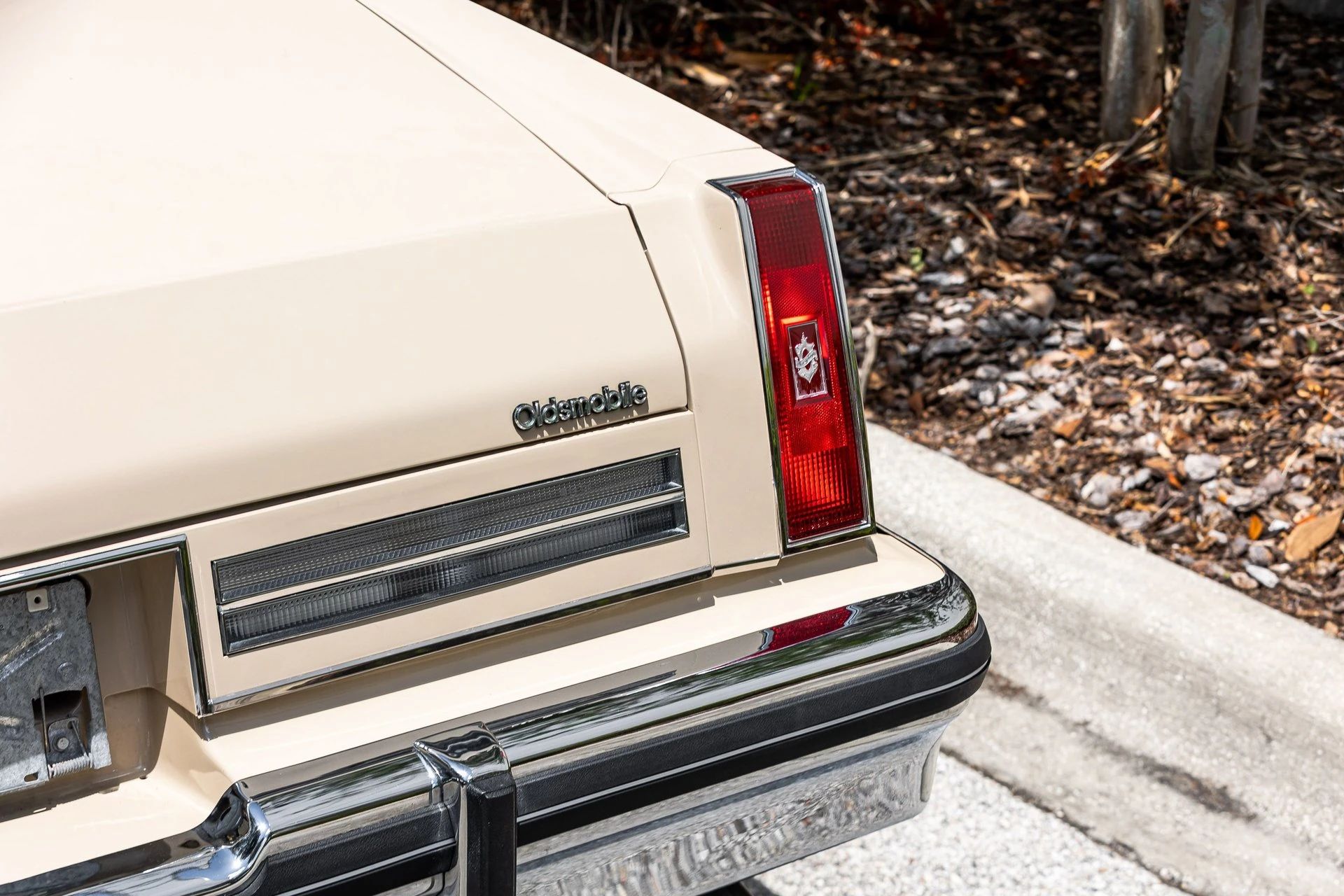 Right rear taillight and decklid "Oldsmobile" badge on a 1981 Oldsmobile 98