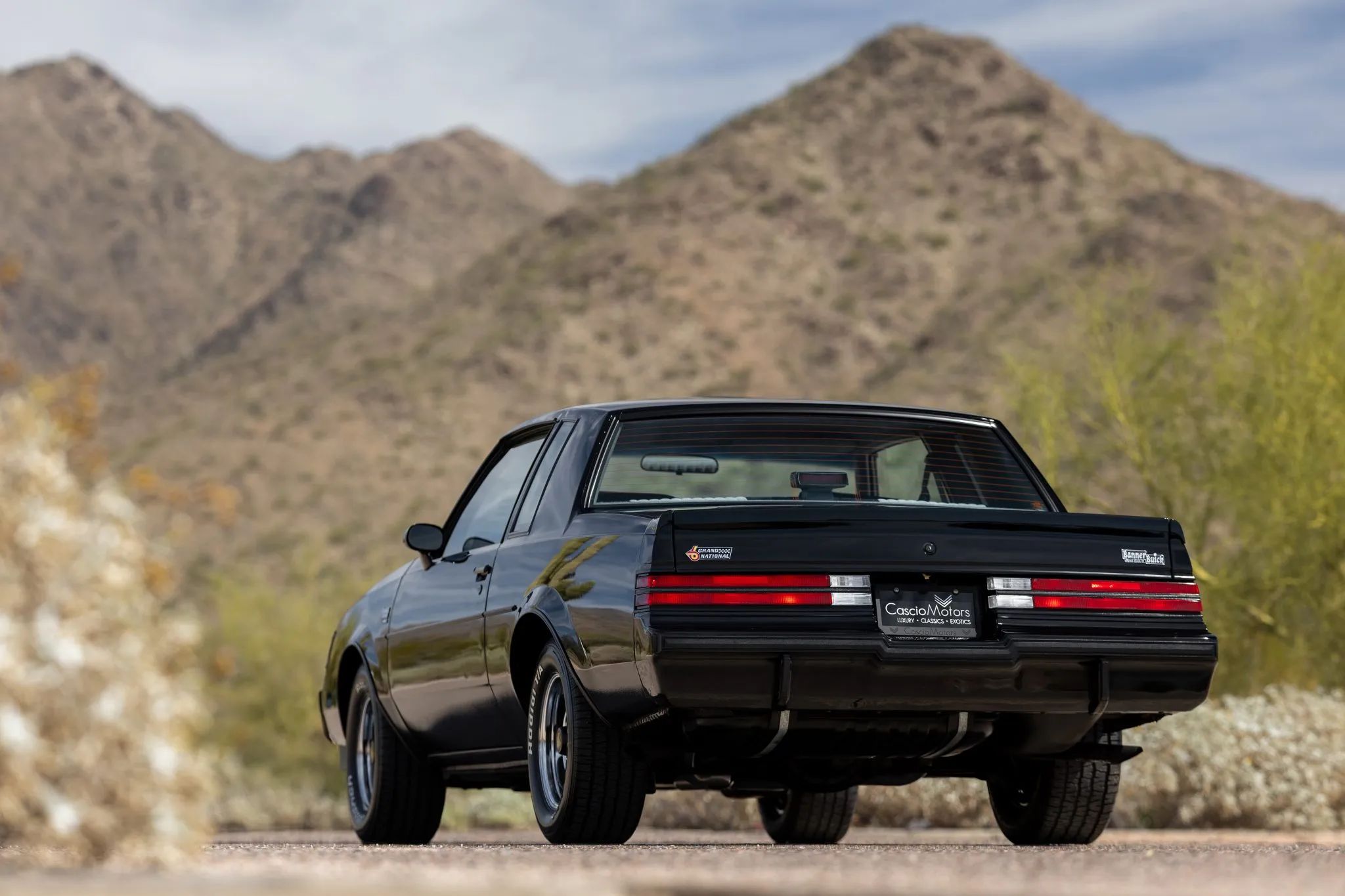 Low angle left rear 3q view of a 1987 Buick Regal coupe