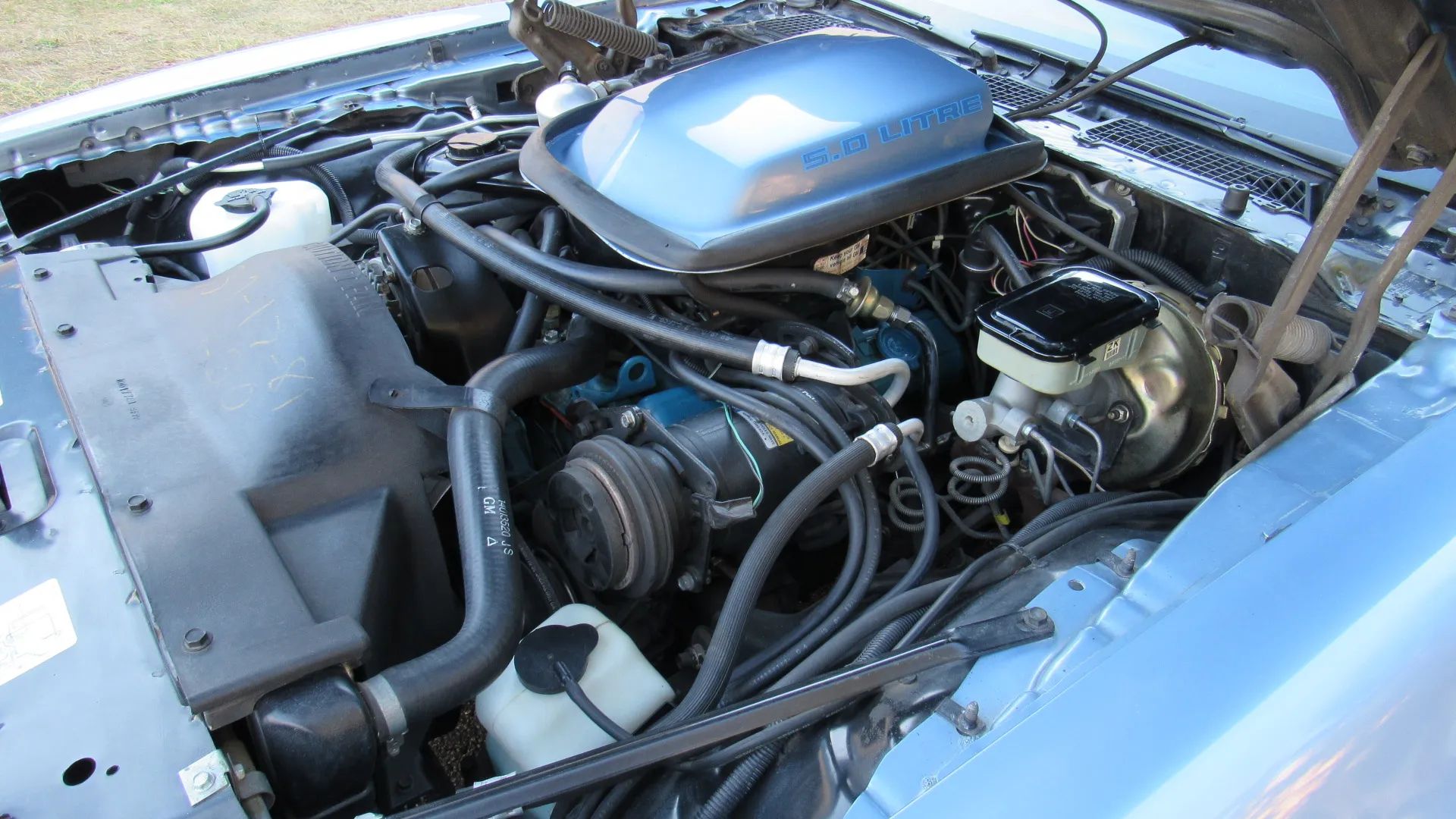1981 Pontiac Firebird Trans Am: The Four-Speed Option Prepared Buyers For A Chevy-Powered Future 3 Engine compartment of 1981 Trans Am showing 5.0 liter engine