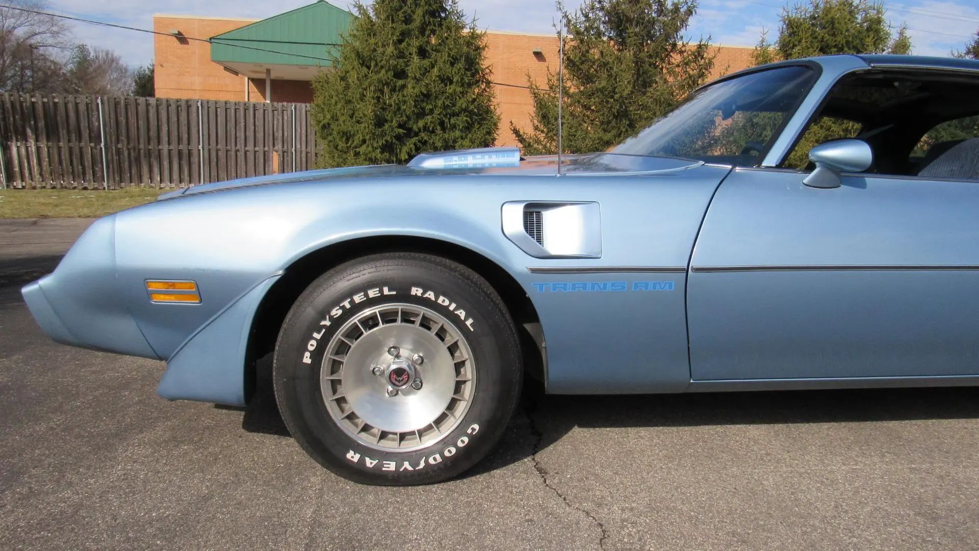 1981 Pontiac Firebird Trans Am: The Four-Speed Option Prepared Buyers For A Chevy-Powered Future 8 Driver's front fender of blue 1981 Trans Am