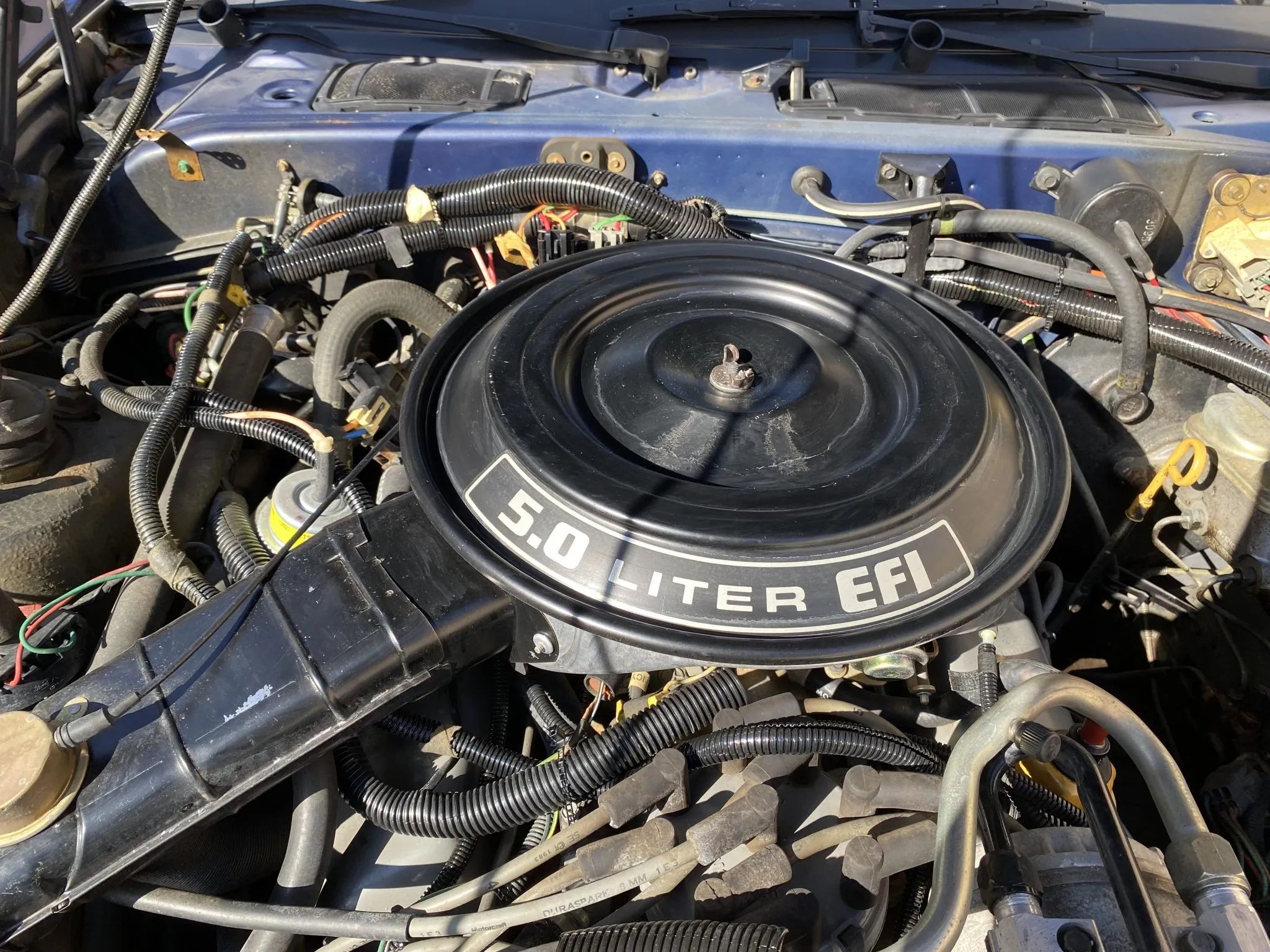 1983 Buick LeSabre Vs. 1983 Ford Thunderbird: My Family Chooses Between The Brougham Look And The Aero Bird 7 Image of 1983 Ford Thunderbird engine compartment with 5.0-liter V8