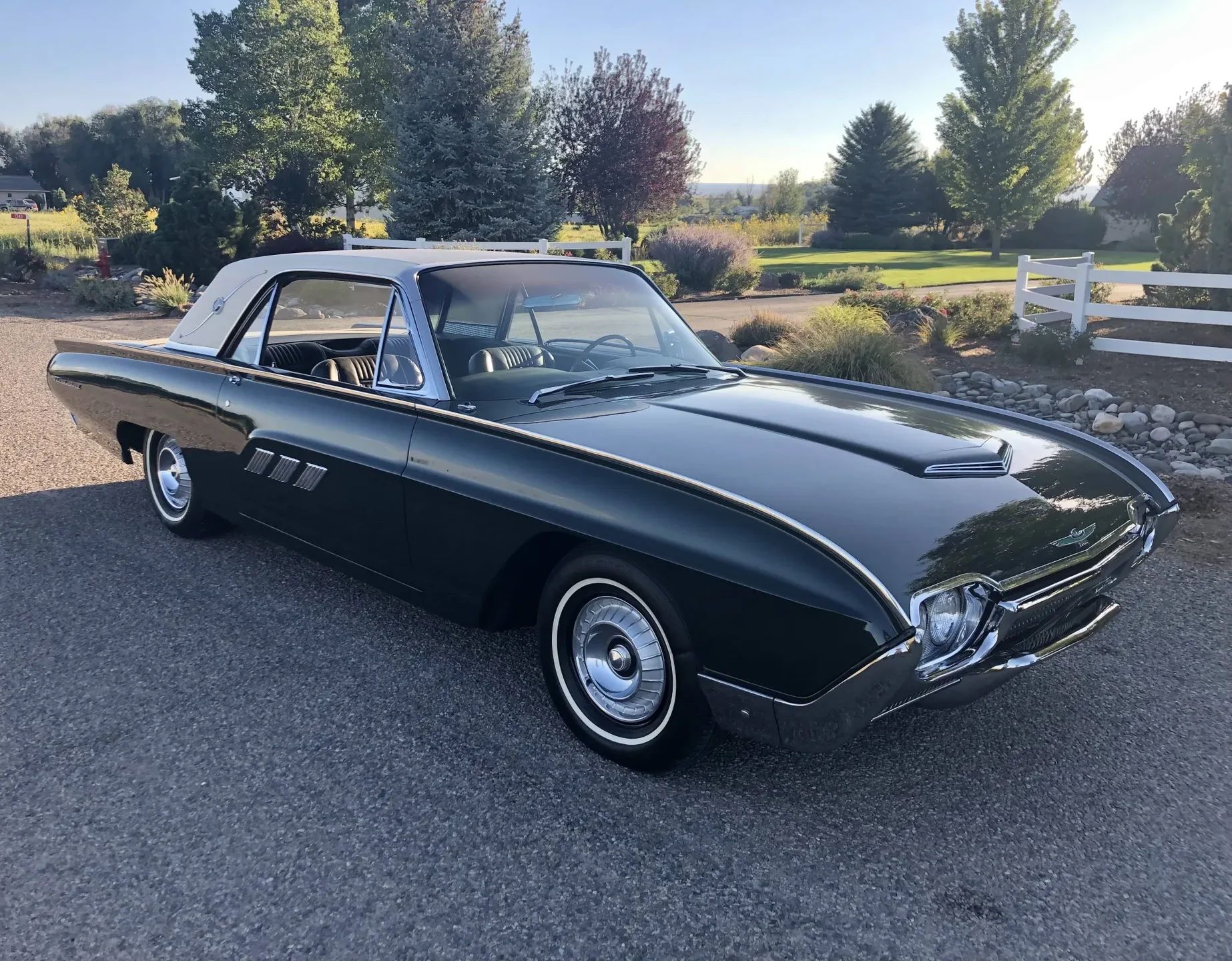 63 T Bird 1 e1781028679472
