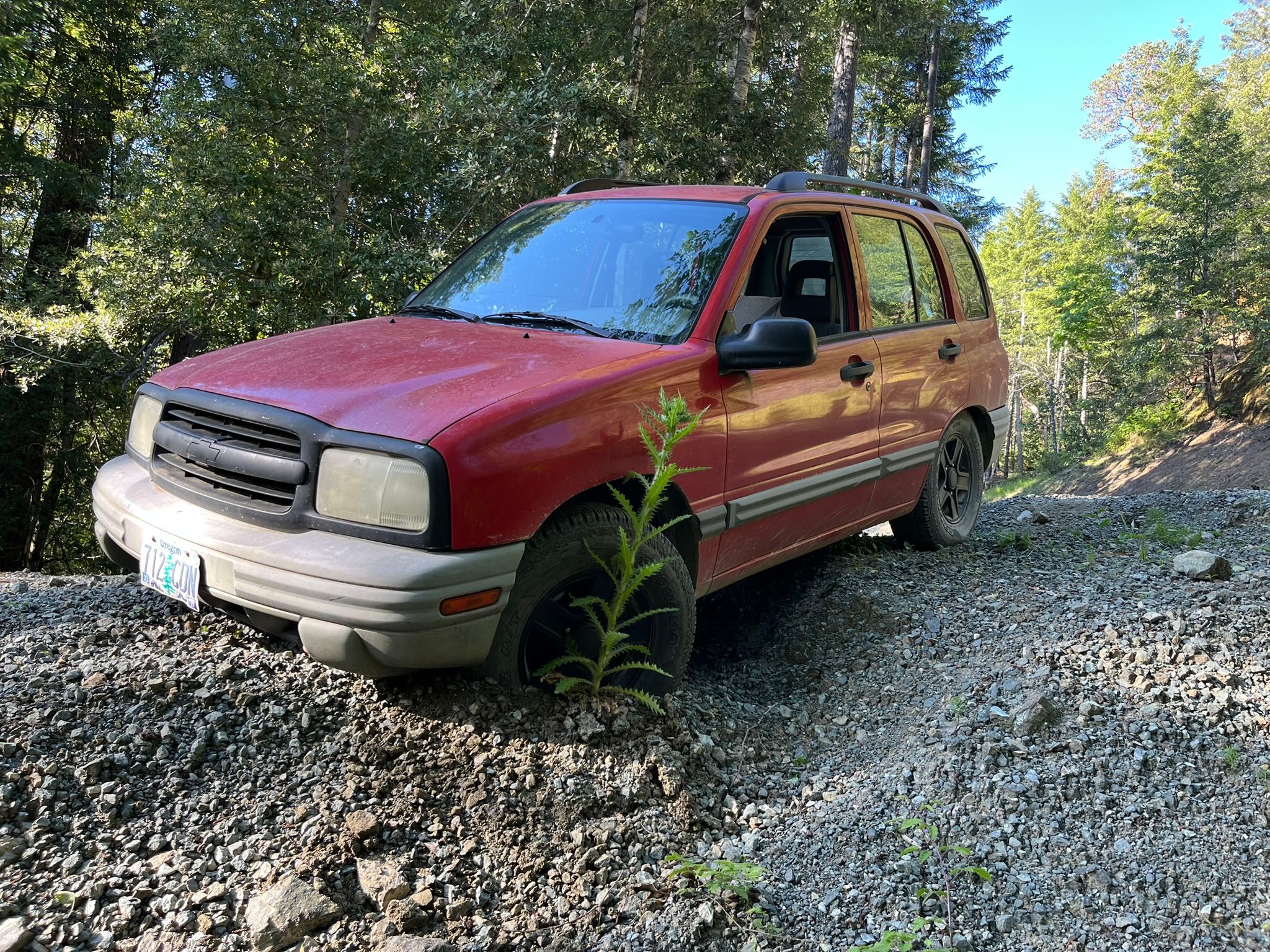 Auto-Biography: Another Close Encounter With A Ditch - Time To Take My Keys Away? 9 IMG 1264