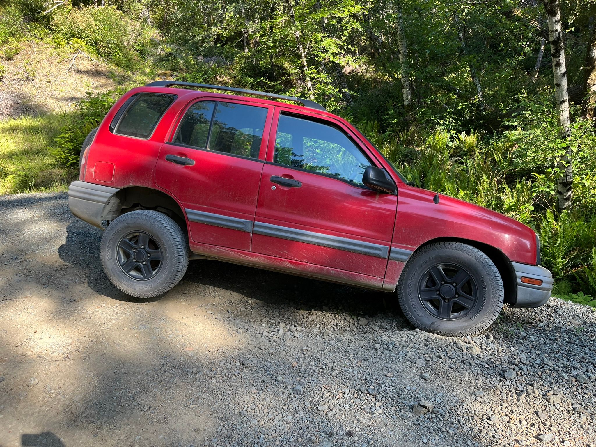 Auto-Biography: Another Close Encounter With A Ditch - Time To Take My Keys Away? 10 IMG 1265