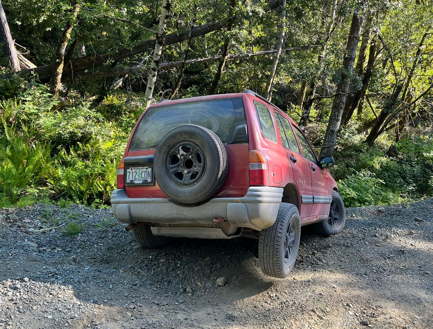 Auto-Biography: Another Close Encounter With A Ditch - Time To Take My Keys Away? 1 IMG 1266 1