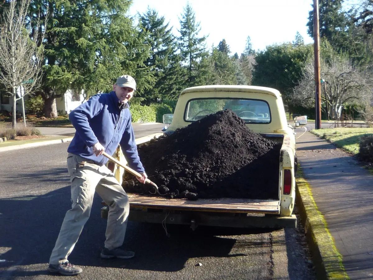 My '66 Ford F-100 Celebrates Its 60th Birthday - And It's Not Ready To Retire Yet 8 a manure 007