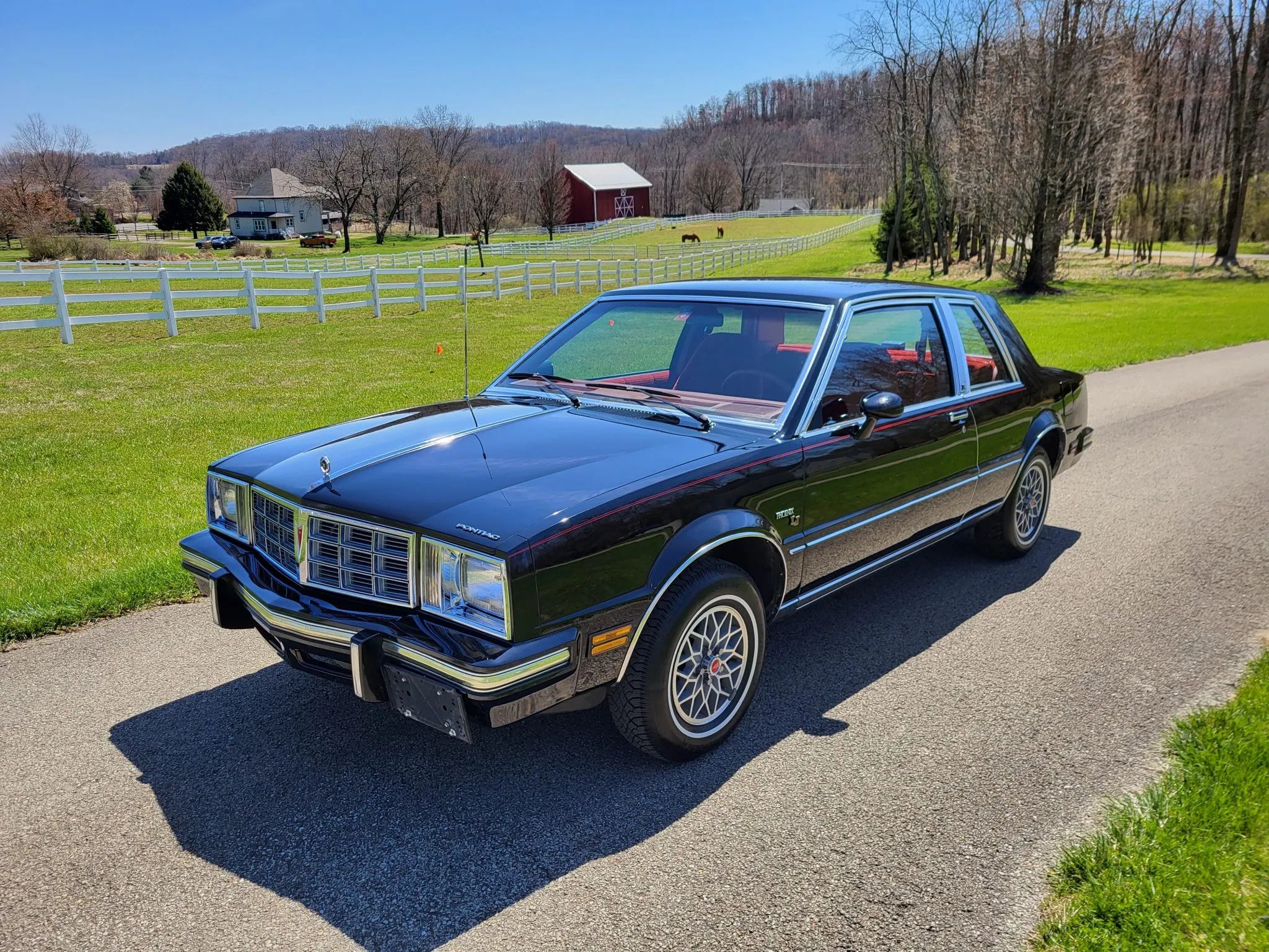 1980 Pontiac Phoenix LJ Coupe: Two Doors, Four Speeds, 32,349 Miles, Zero Credibility 1 Left front 3q view of a Starlight Black 1980 Pontiac Phoenix notchback coupe