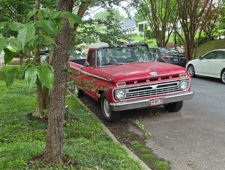 A 1966 Ford F-100 And Other Cohort Finds 1 a red 1966 F-150 long bed, parked by the curb.