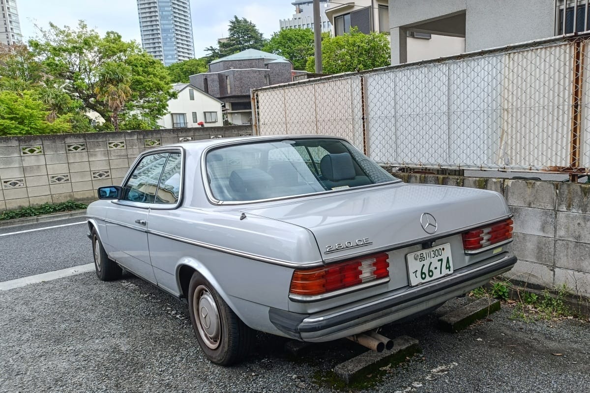 IMG20260416140619 edited