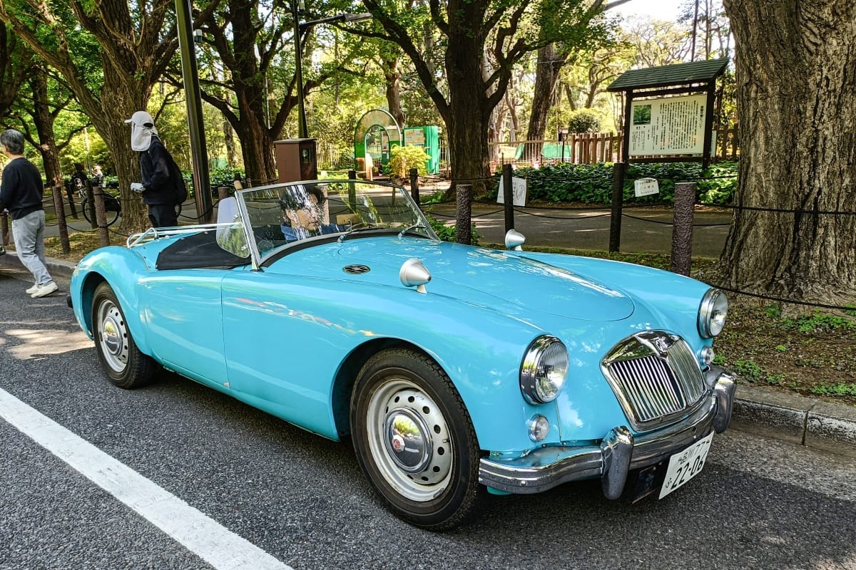 T87’s Singles Collection, Spring 2026 Edition – Part 4: More Foreign Cars (American & British) 82 IMG20260426084048 edited