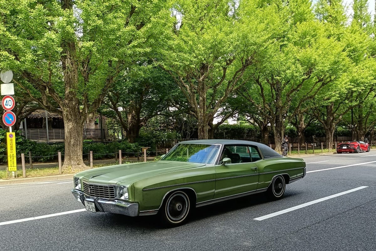 T87’s Singles Collection, Spring 2026 Edition – Part 4: More Foreign Cars (American & British) 12 IMG20260524085255 edited