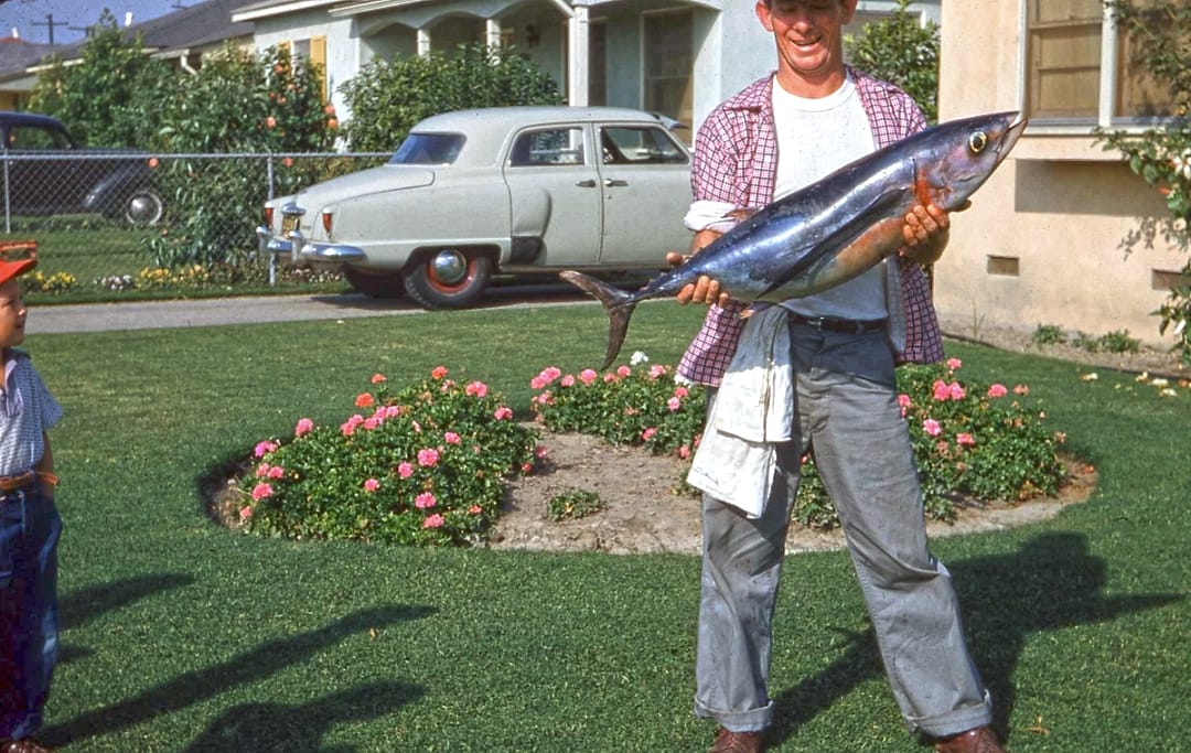 Vintage Photos Of Everyday Scenes In 1950s-1970s America 2 Screenshot 20260701 204719