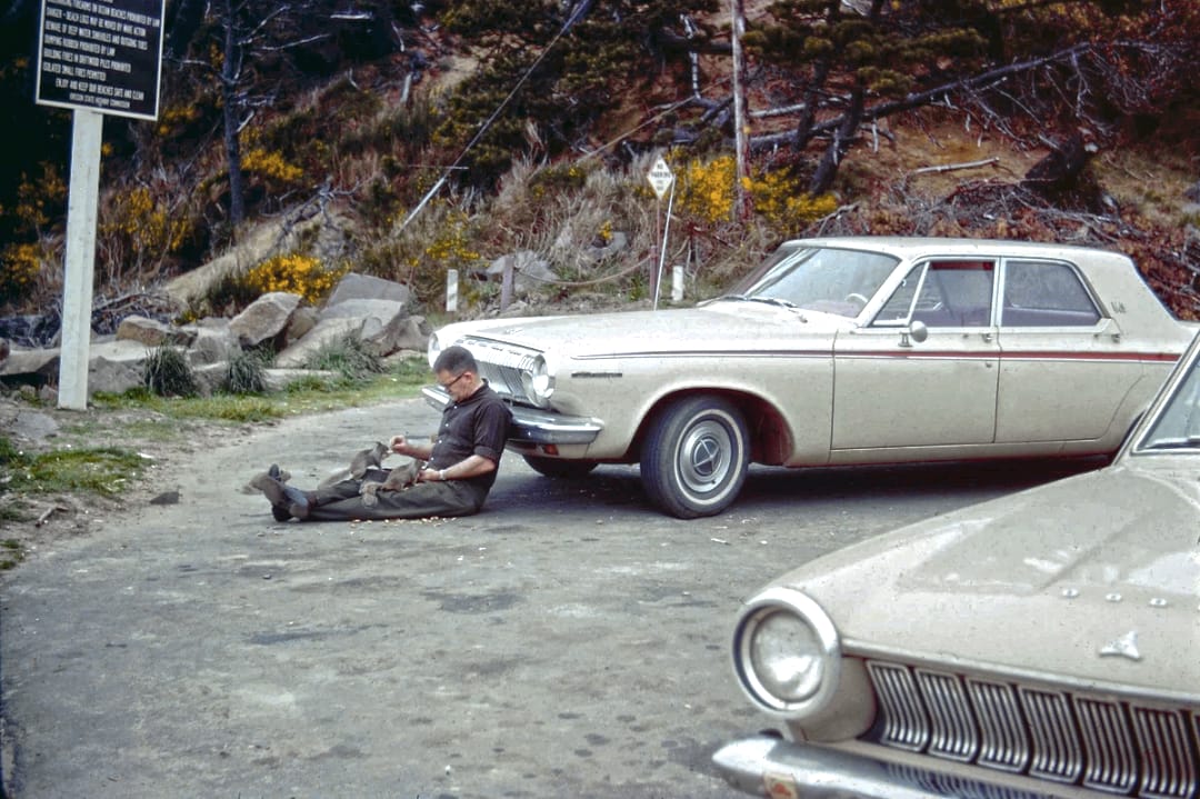 Vintage Photos Of Everyday Scenes In 1950s-1970s America 10 Screenshot 20260720 071951
