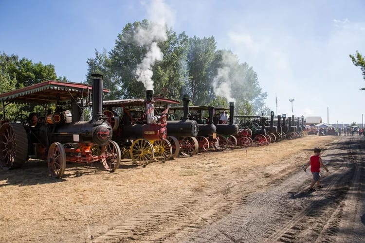 a steammers