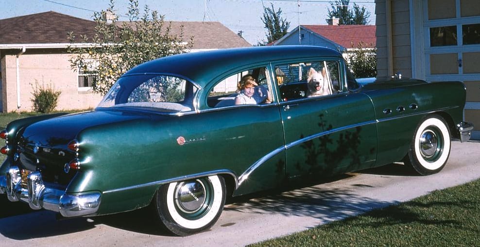 A Rainbow Of 1950s Cars -- Remember When Cars Weren't Just Black, White, and Gray? 10 1954 BUICK SPECIAL 010 Curt zpse0facdf8