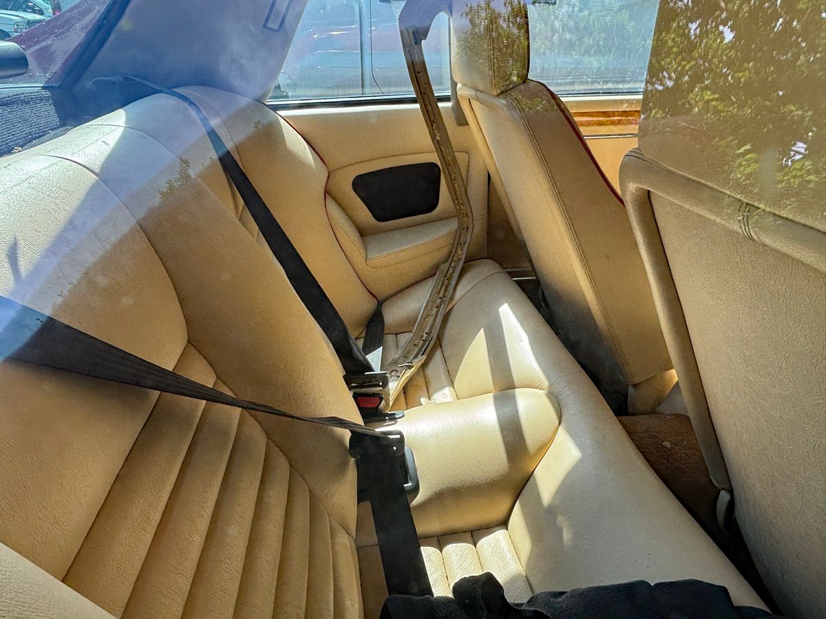 1989 Jaguar XJ-S Rouge: When An XJ-S Just Isn’t Exclusive Enough 15 Jaguar XJ-S Rouge interior rear
