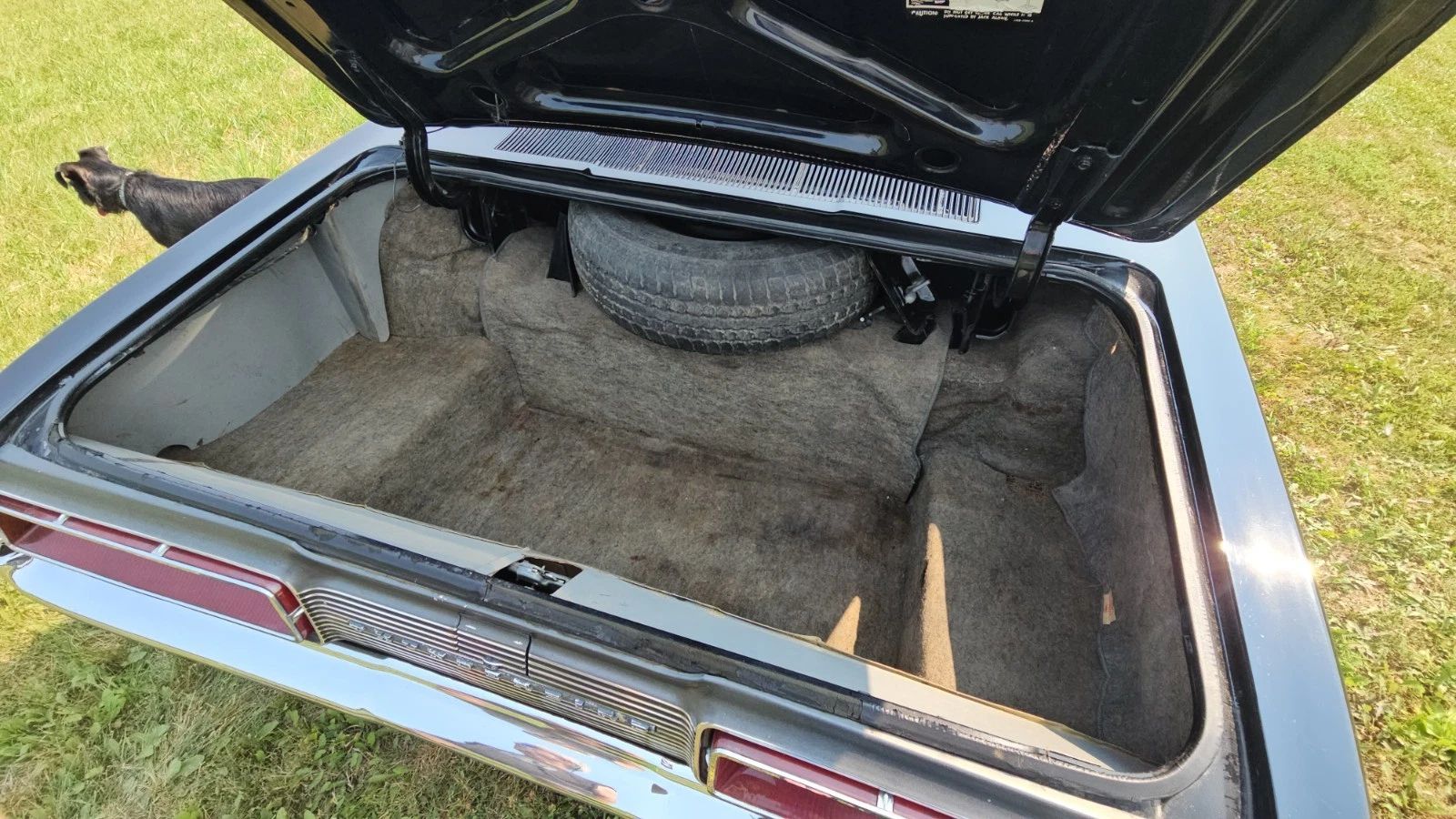 1969 Ford Thunderbird Four-Door Landau For Sale: A Two-Owner, Low-Mileage 'Bird In Raven Black...With A Green Interior 4 Luggage compartment of 1969 Ford Thunderbird