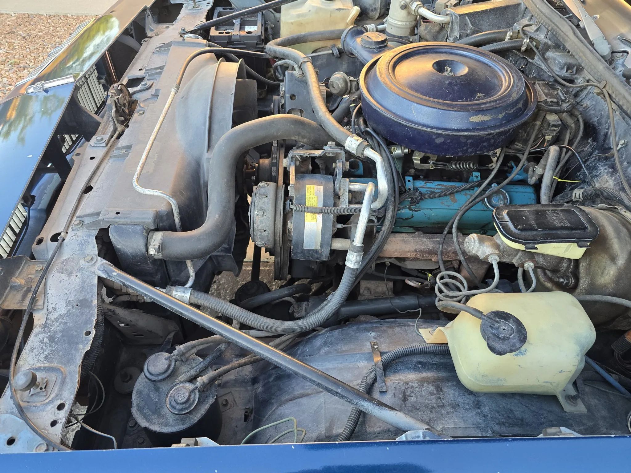 Engine compartment of 1979 Oldsmobile Cutlass Supreme with Chevrolet 305 V8