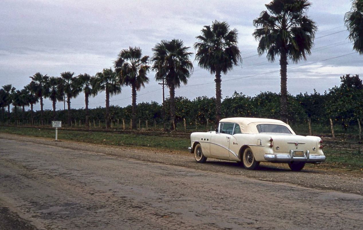 Buicks In Their Best Decade -- Vintage Photos 1950s 8 Captura de pantalla 2026 08 22 18.56.11