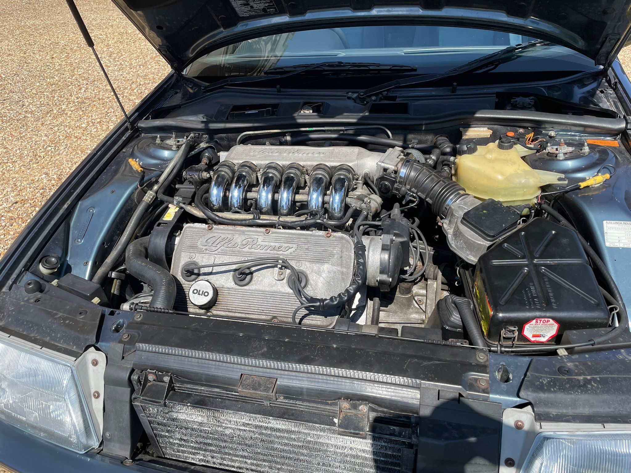 The Italian Epoque Begins With a 1989 Alfa Romeo 164 3.0V6 Lusso -- Three Decades, Two Cars, One Love Affair 2 IMG 20250518 WA0015