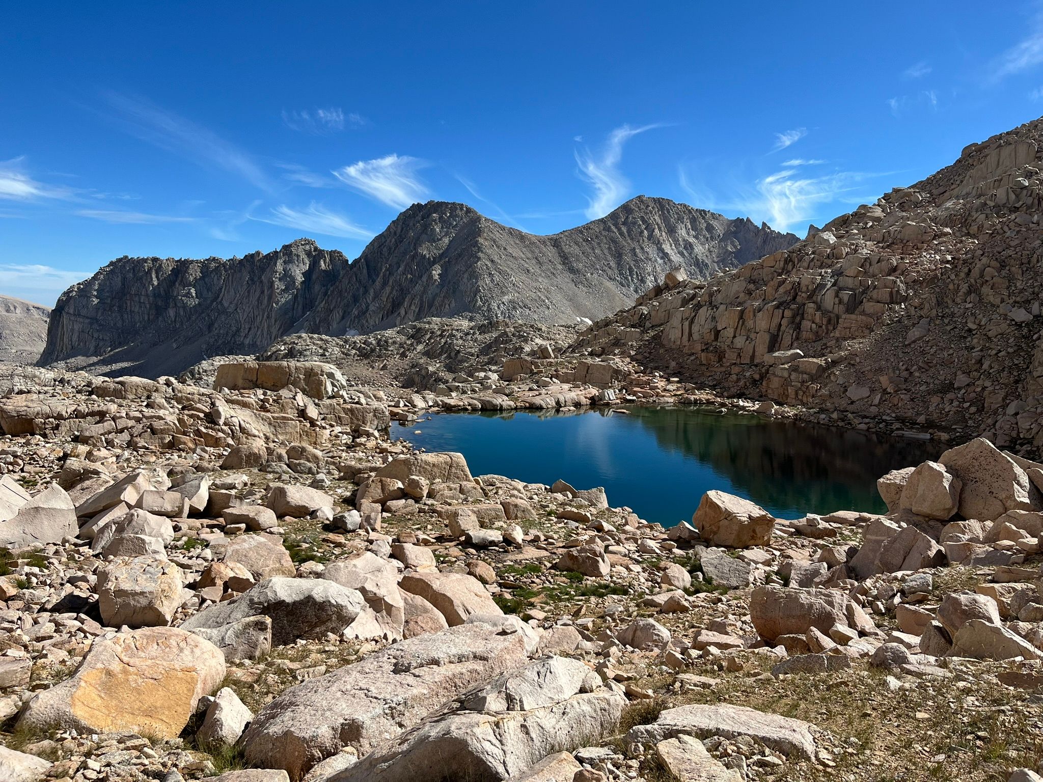 IMG 2006