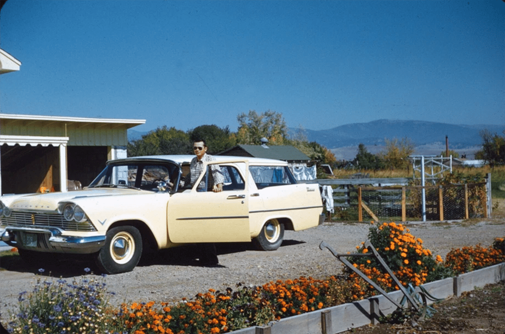 A Rainbow Of 1950s Cars -- Remember When Cars Weren't Just Black, White, and Gray? 15 upload 2025 7 18 16 41 19