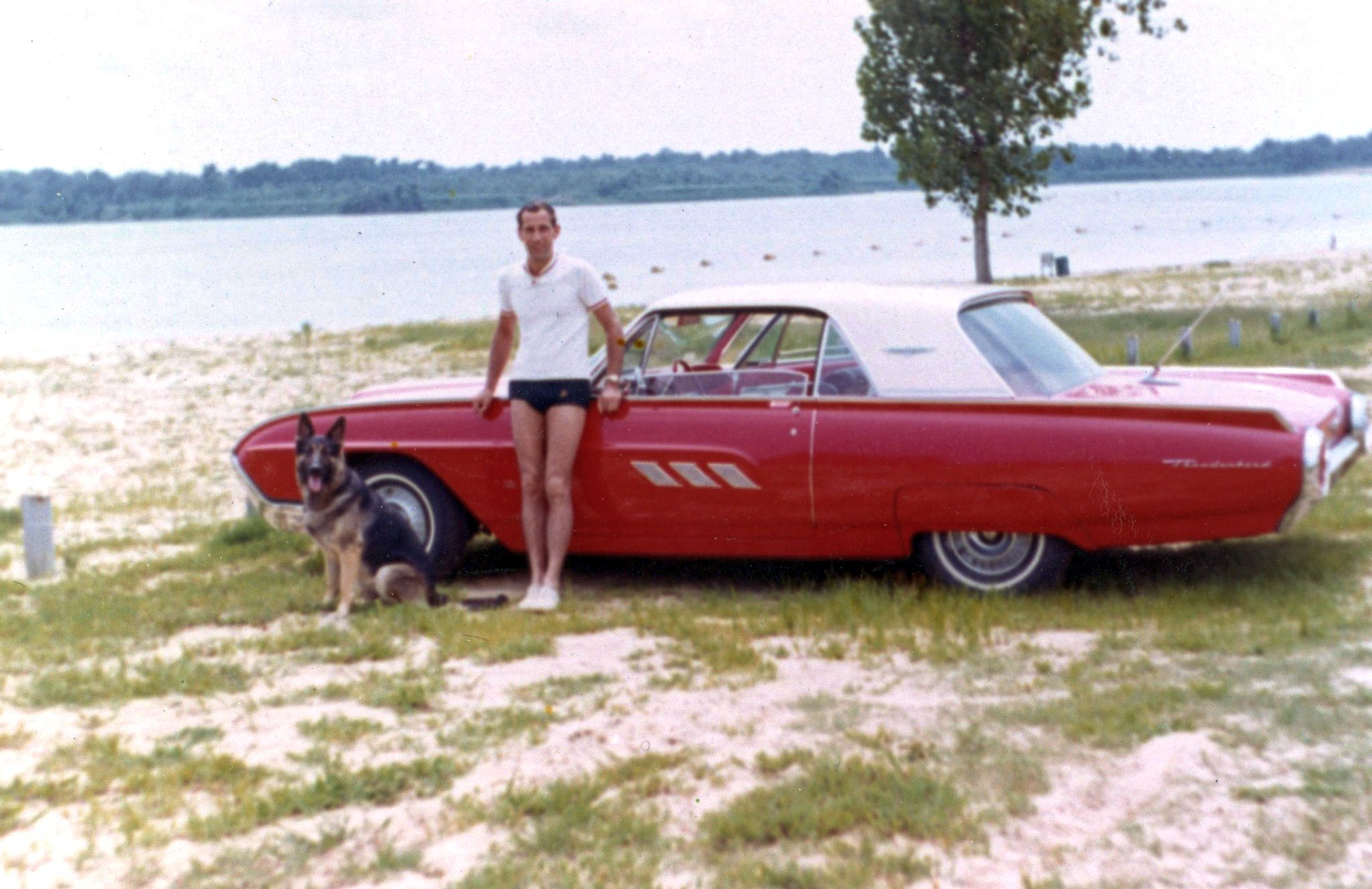 Classic Cars And Family Pets In Vintage Photos -- 1950s-1970s 7 1 1 1 ADS 46b