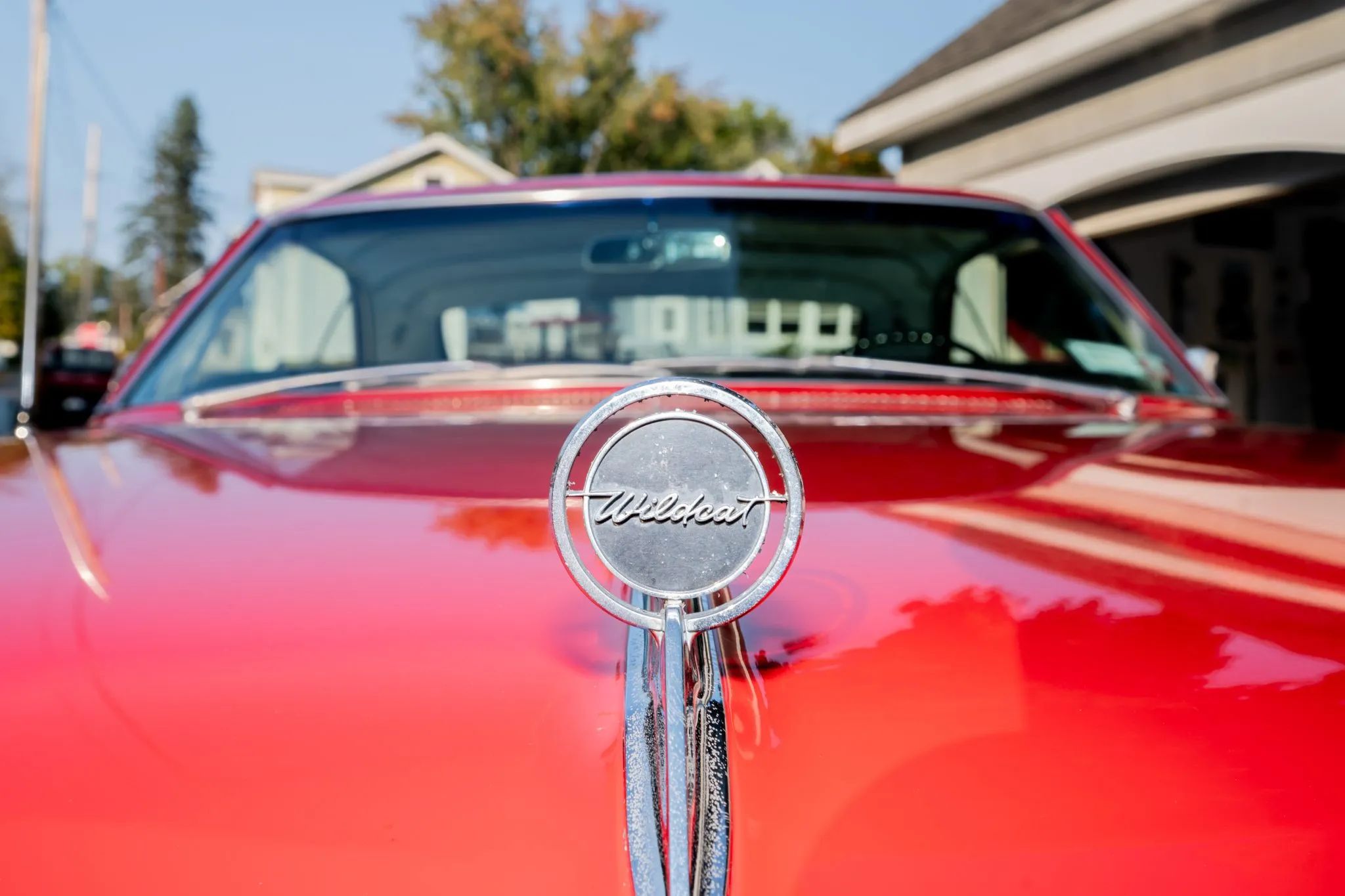 1966 Buick Wildcat Custom Gran Sport: One-Year-Only Full-Size Buick Muscle "For Young People Of All Ages" 3 Closeup of the Wildcat hood emblem on a red 1966 Buick