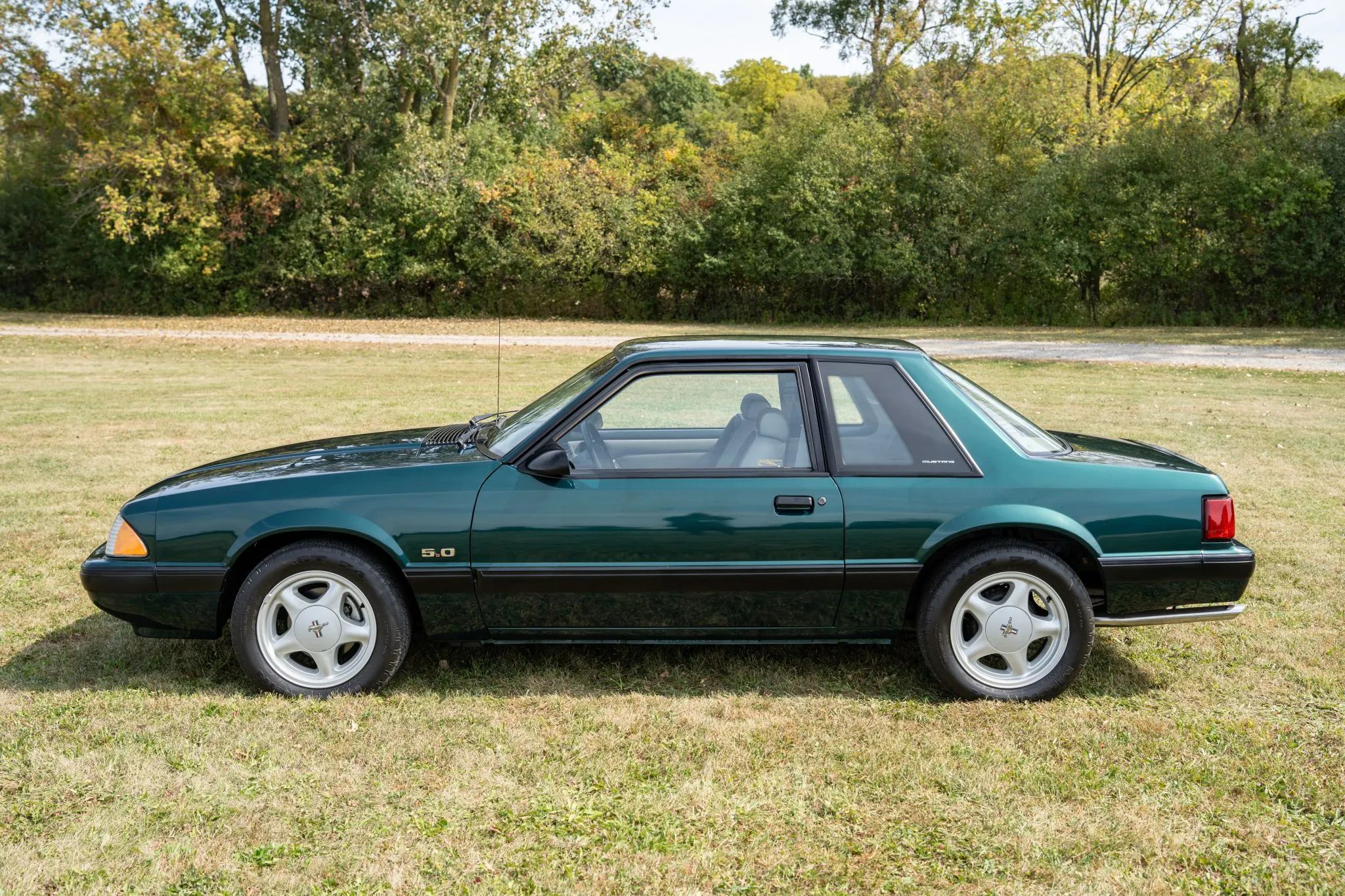 1991 Mazda MX-6 LX: In An Alternate Universe, This Could Have Been The Mustang Notchback 3 Driver profile picture of dark green 1991 Ford Mustang Coupe parked in a field of dry grass