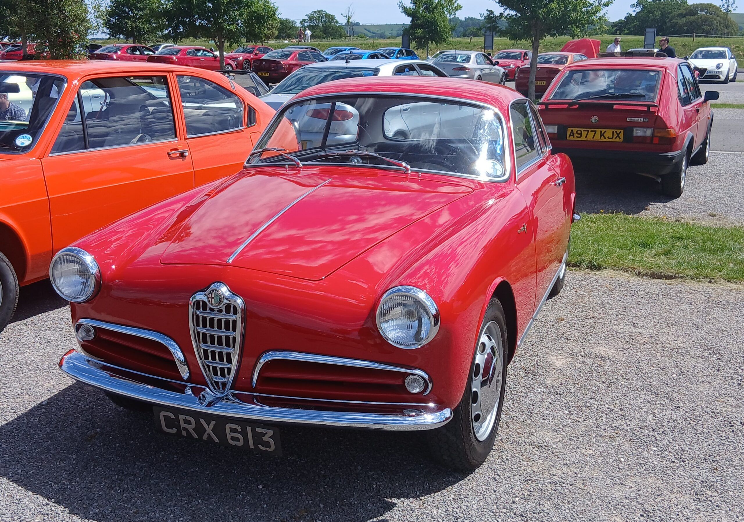 Car Show Classics - South West Alfa Day 2026 2 20260530 140608 scaled