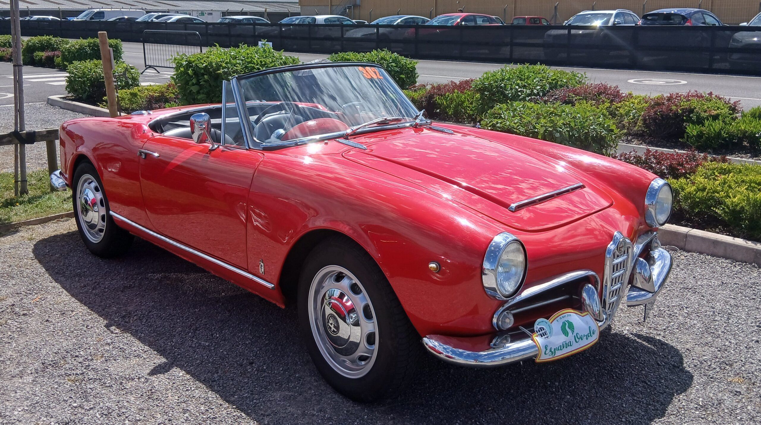 Car Show Classics - South West Alfa Day 2026 5 20260530 140624 scaled
