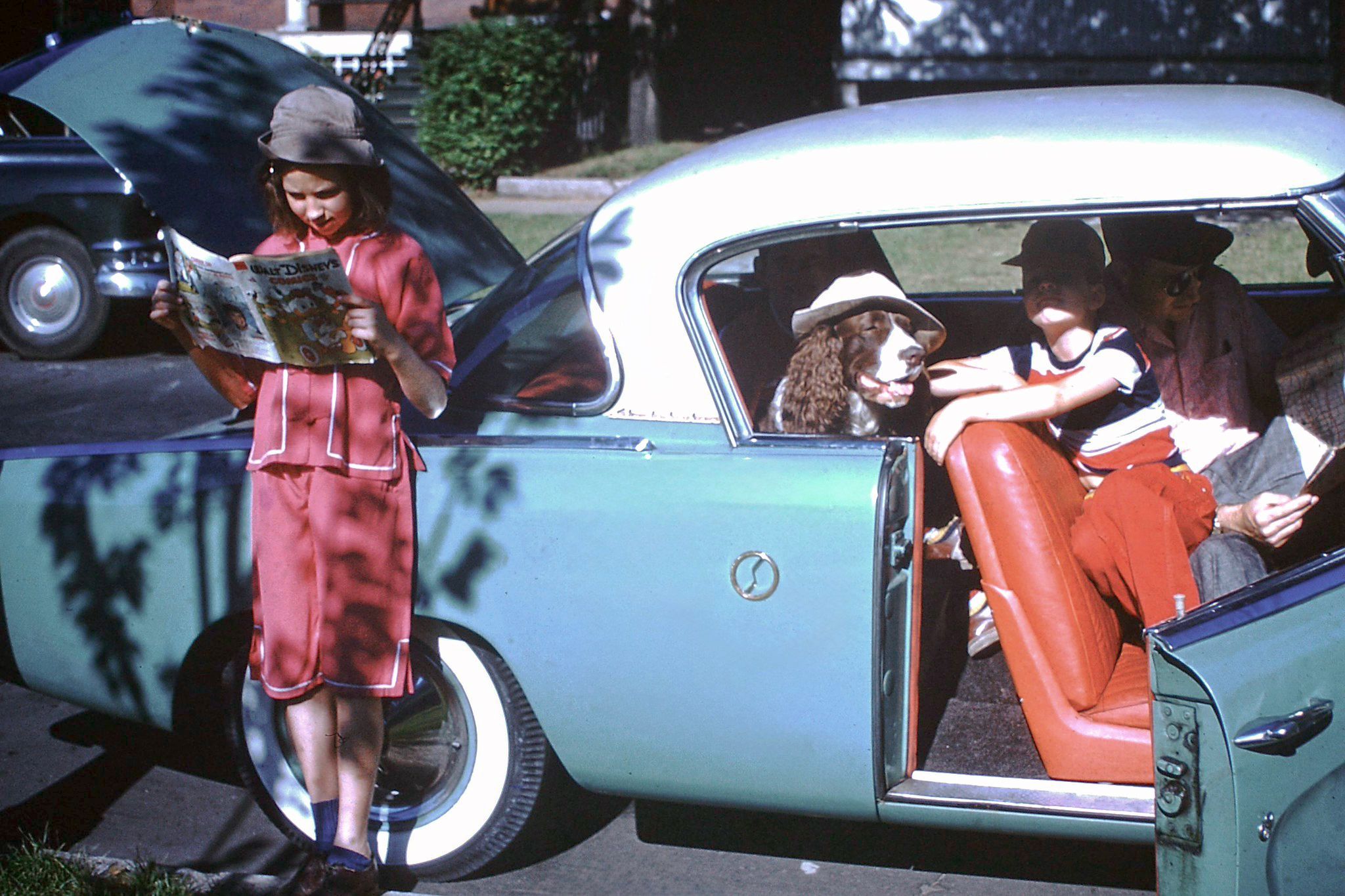 Classic Cars And Family Pets In Vintage Photos -- 1950s-1970s 3 55323254357 085f6b9765 k