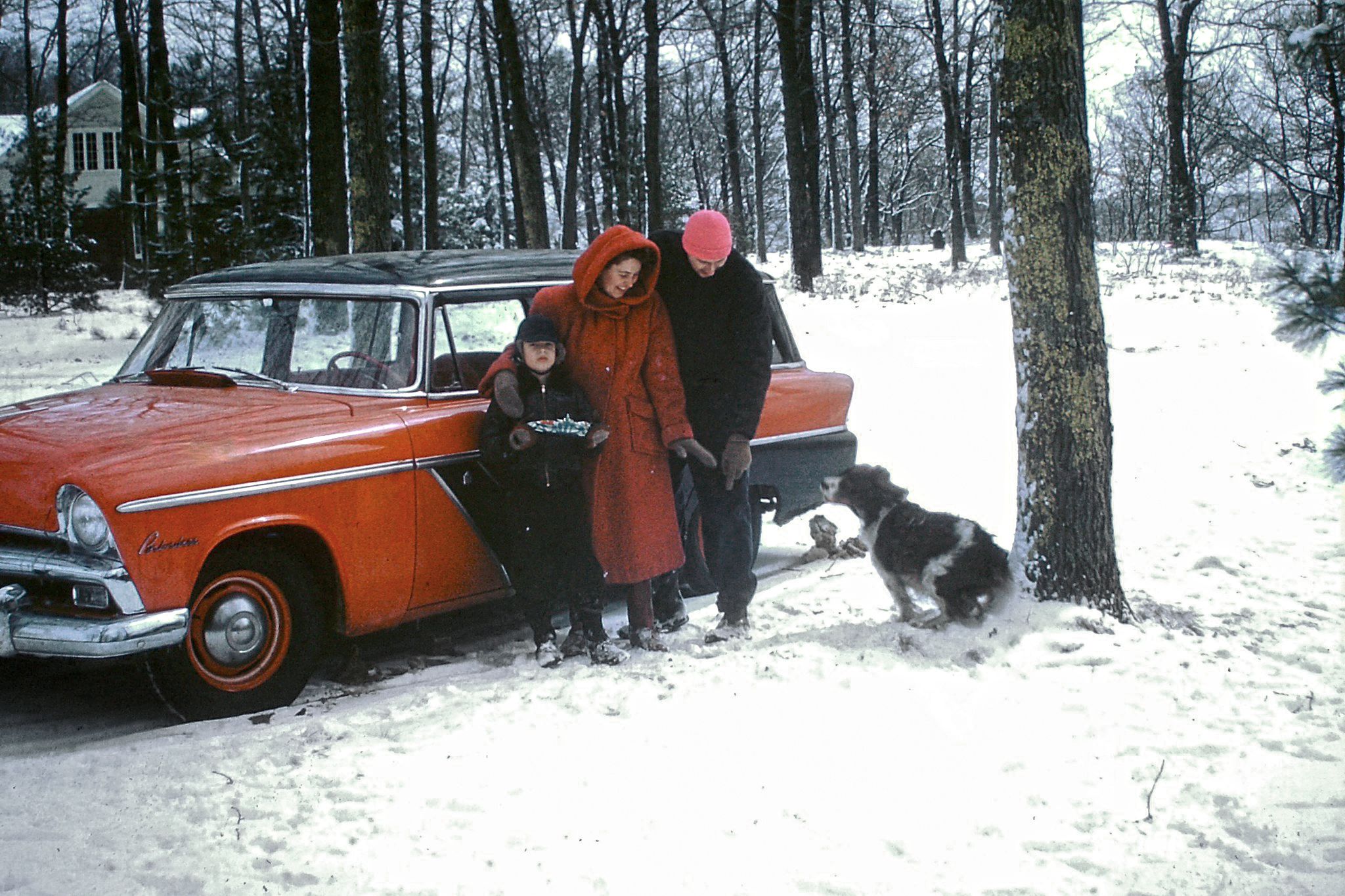 Classic Cars And Family Pets In Vintage Photos -- 1950s-1970s 4 55328198531 3537f9fef3 k