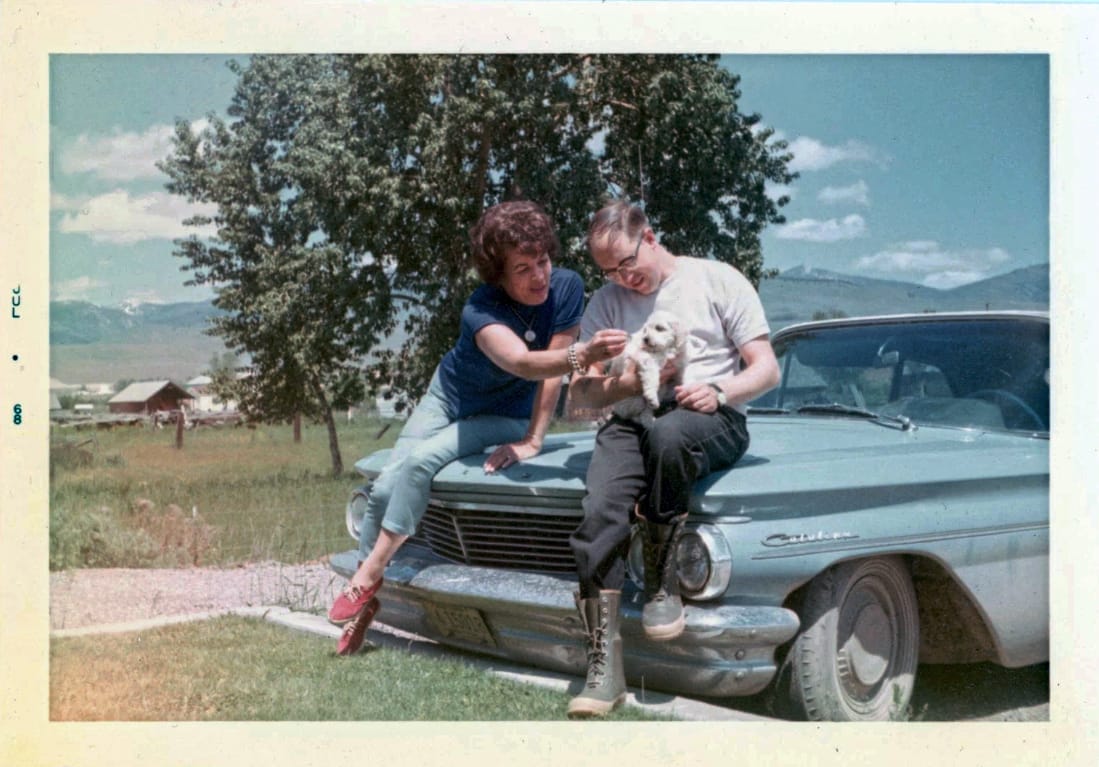 Classic Cars And Family Pets In Vintage Photos -- 1950s-1970s 9 Captura de pantalla 2026 04 24 17.38.49