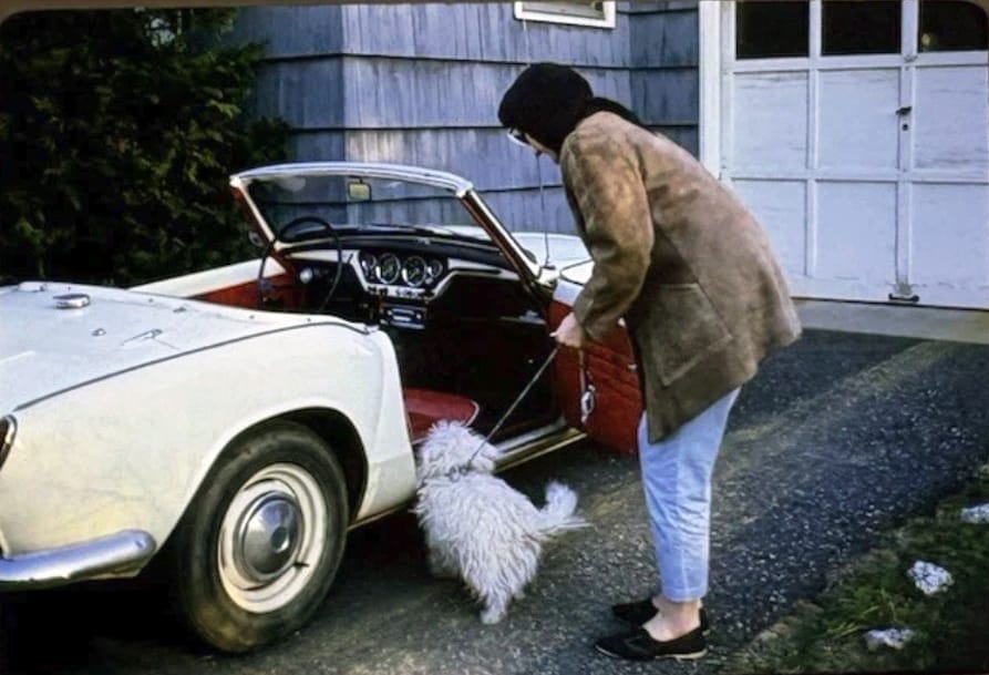 Classic Cars And Family Pets In Vintage Photos -- 1950s-1970s 11 Captura de pantalla 2026 09 21 19.49.36 e1790632060676
