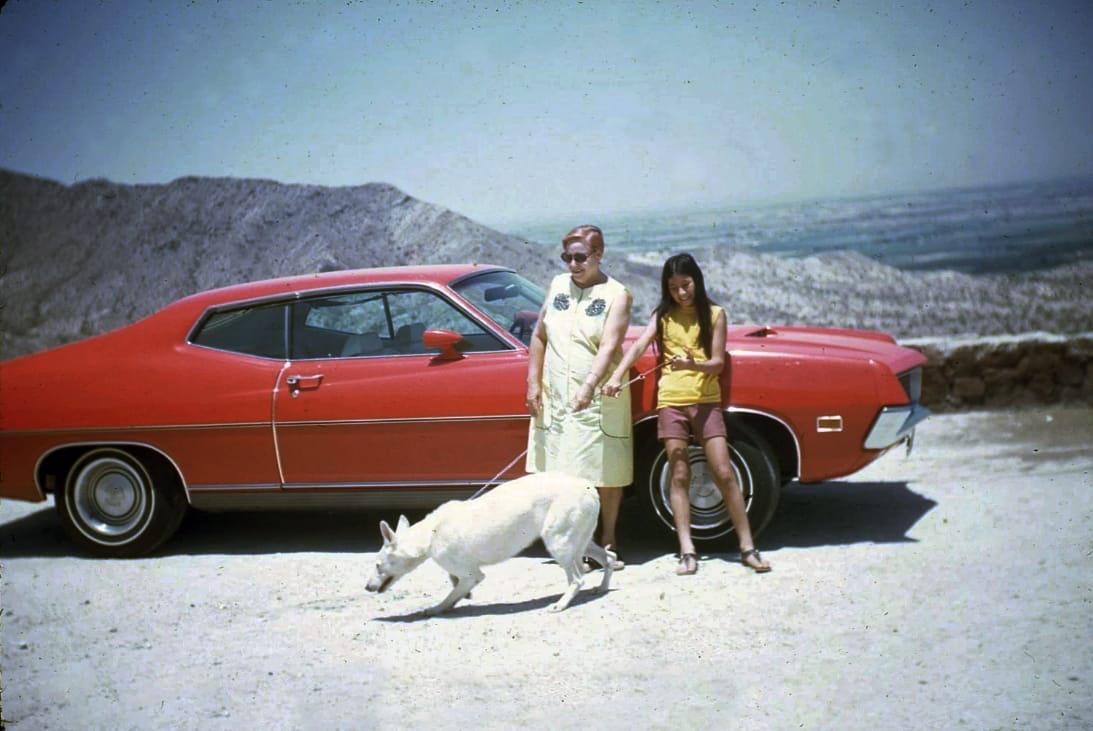 Classic Cars And Family Pets In Vintage Photos -- 1950s-1970s 14 Captura de pantalla 2026 09 21 19.51.21