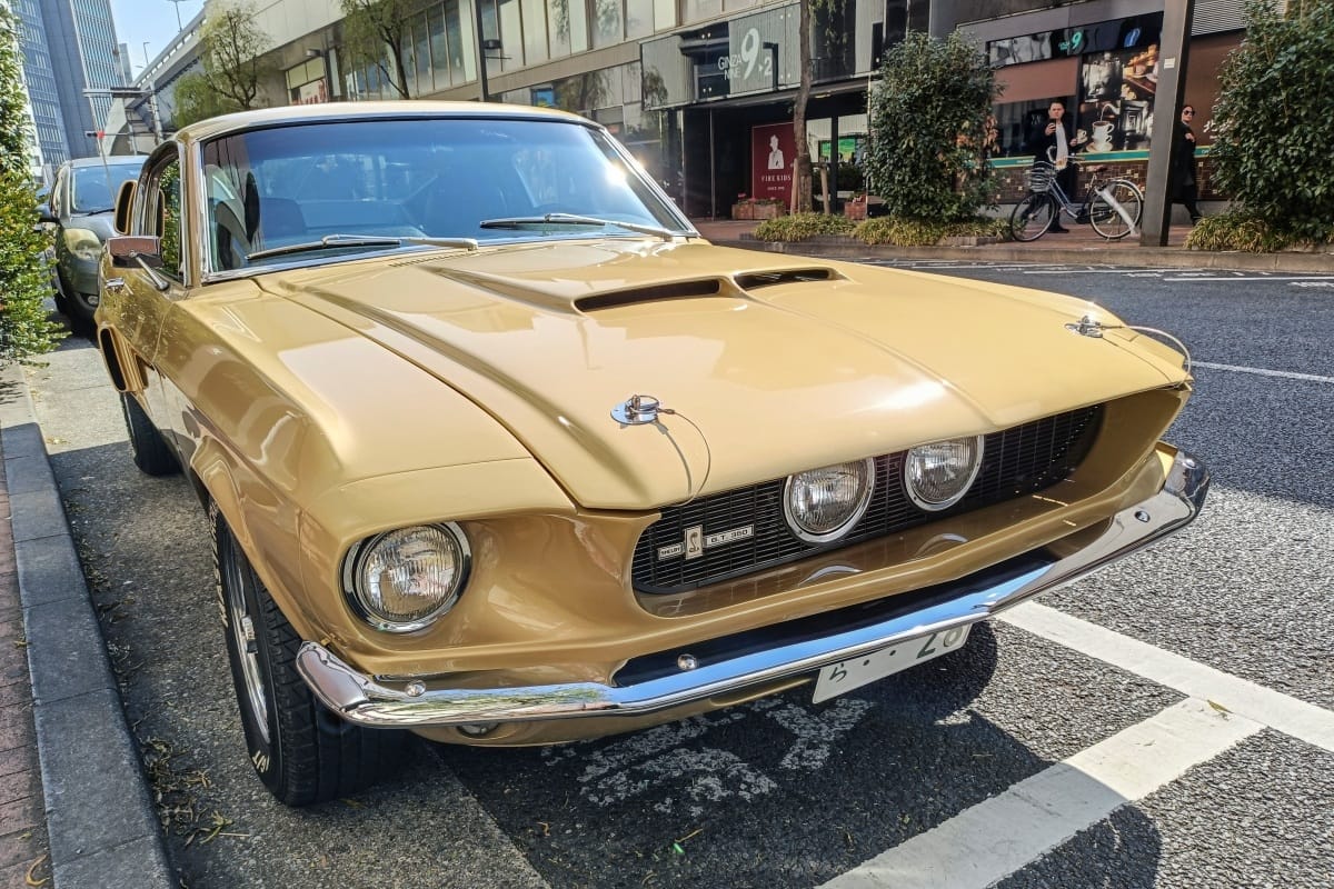 1967 Shelby Mustang G.T. 350 – California Screamin’ 3 IMG20260215113525 edited