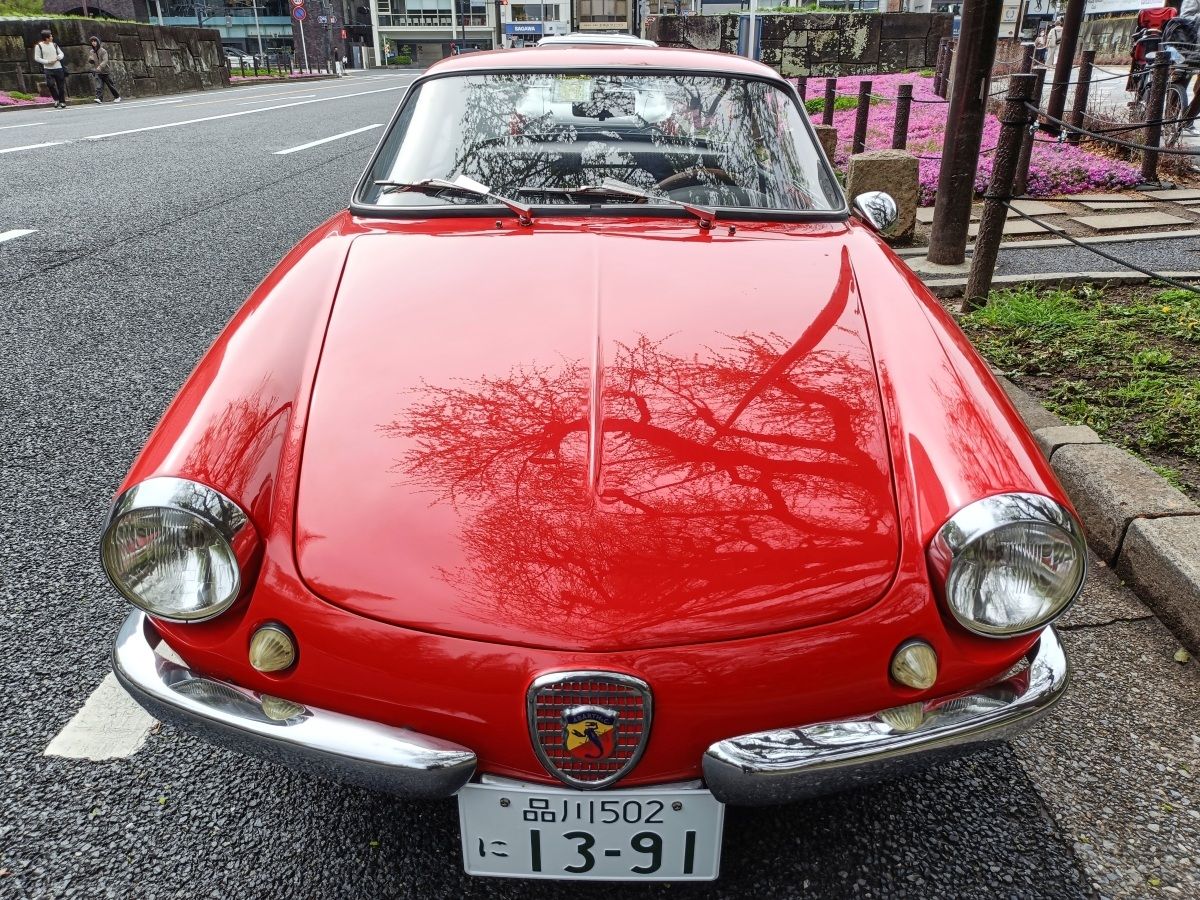 1962 Fiat-Abarth 850 Coupé Scorpione by Allemano – Tailored Arachnid 4 IMG20260405084215 edited