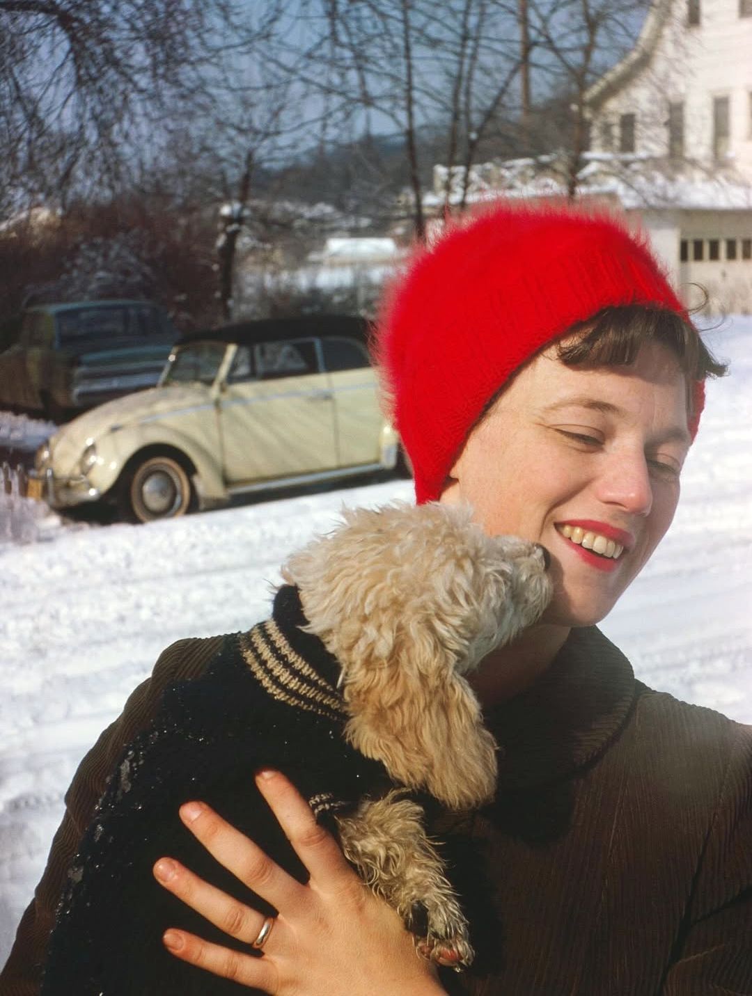 Classic Cars And Family Pets In Vintage Photos -- 1950s-1970s 6 Screenshot 20260225 143845